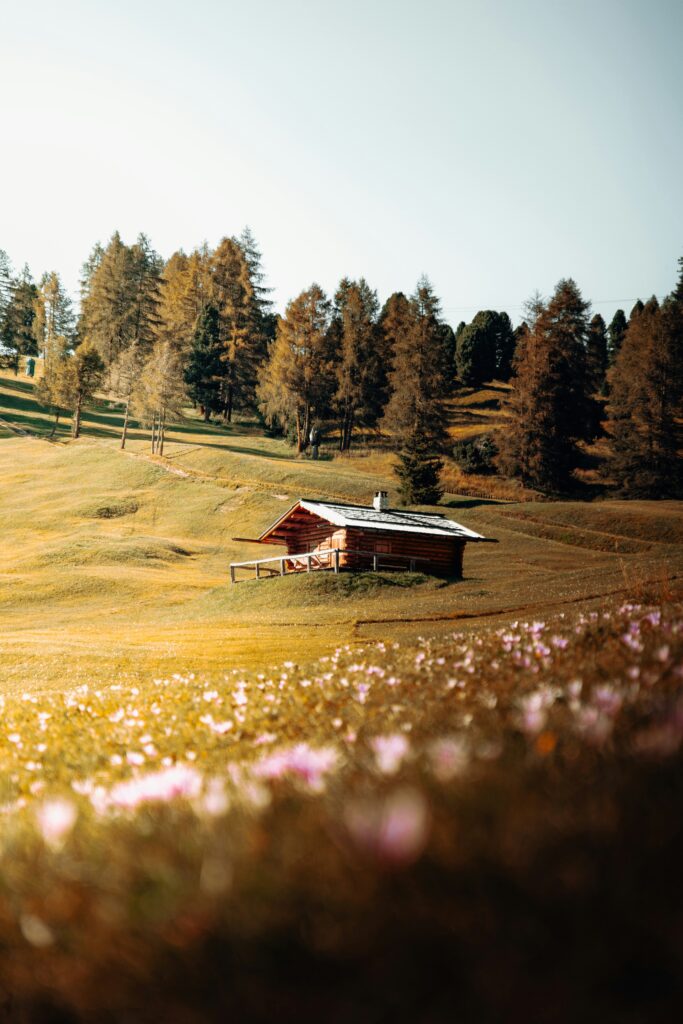 Dolomiti