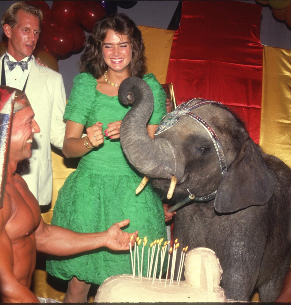 Studio 54