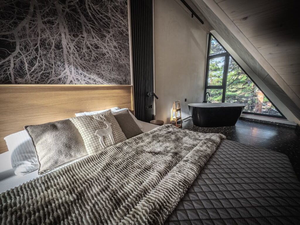 Anika Mountain Home