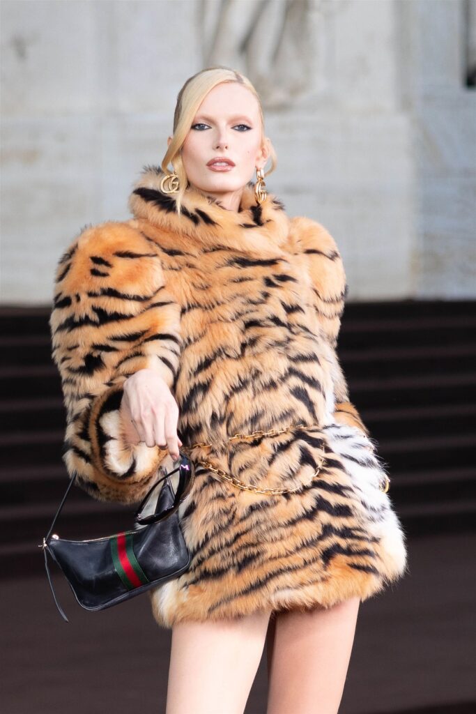gucci tiger