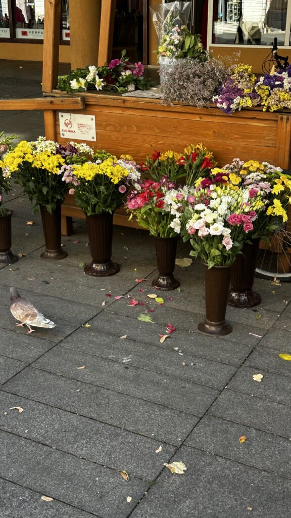 Kata Vuksanović glow and flow