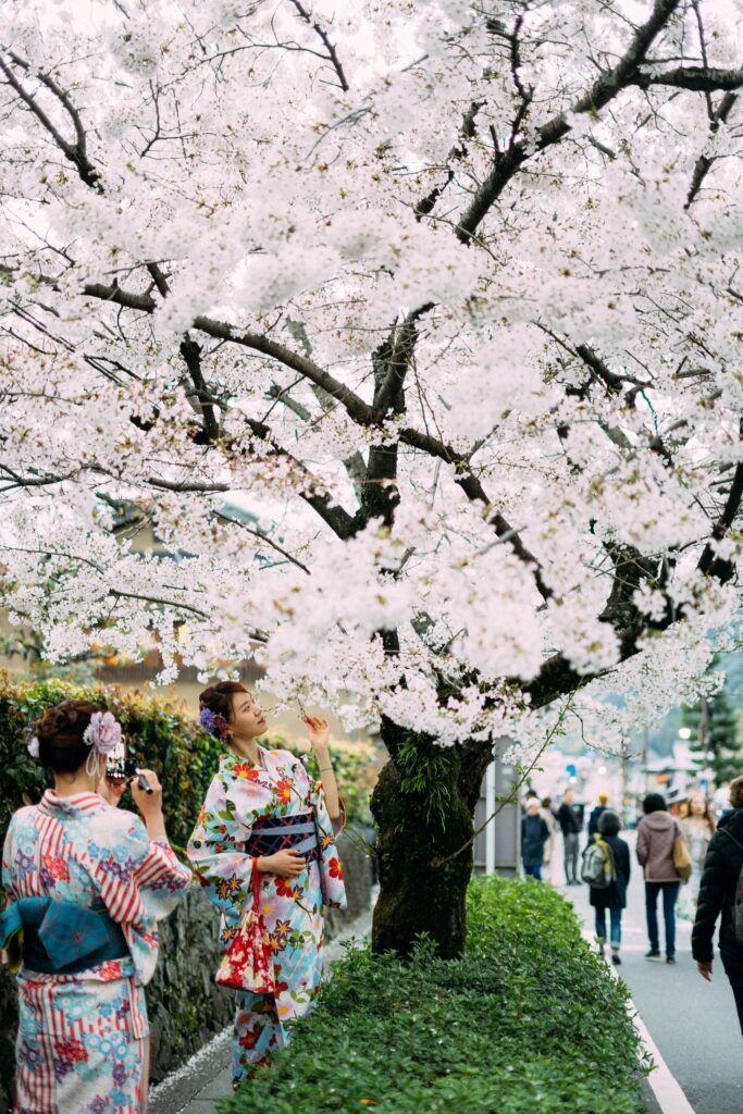 Cvetanje trešnje u Japanu