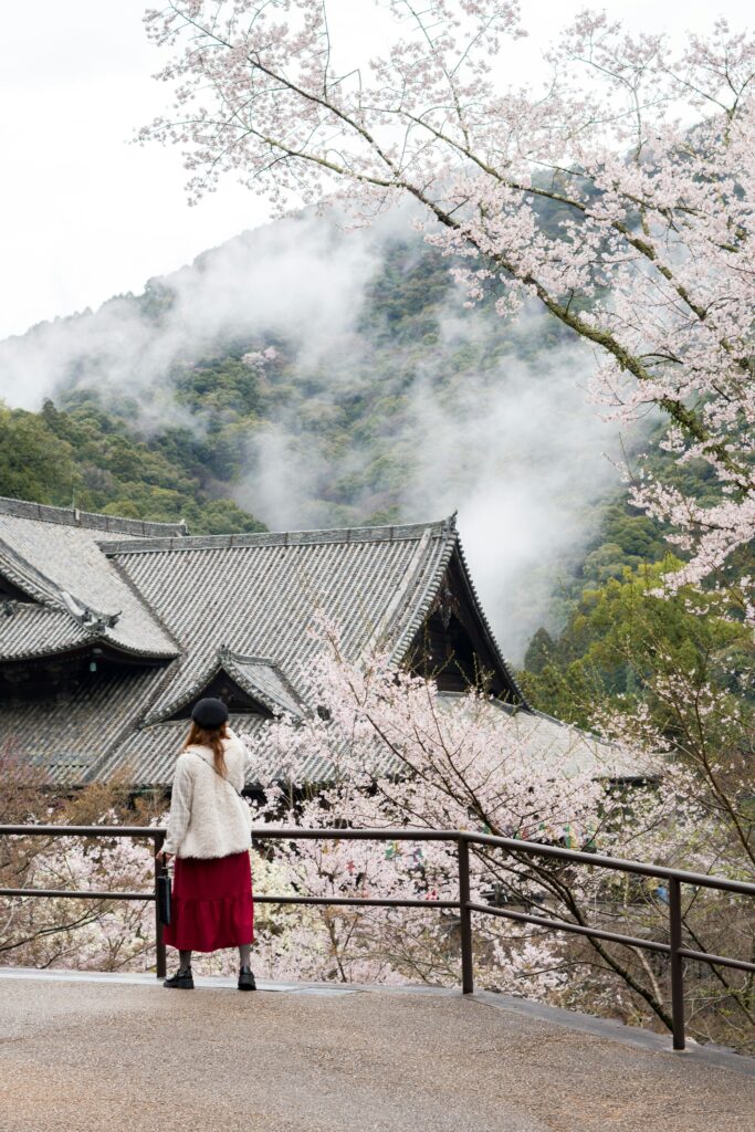 Cvetanje trešnje u Japanu