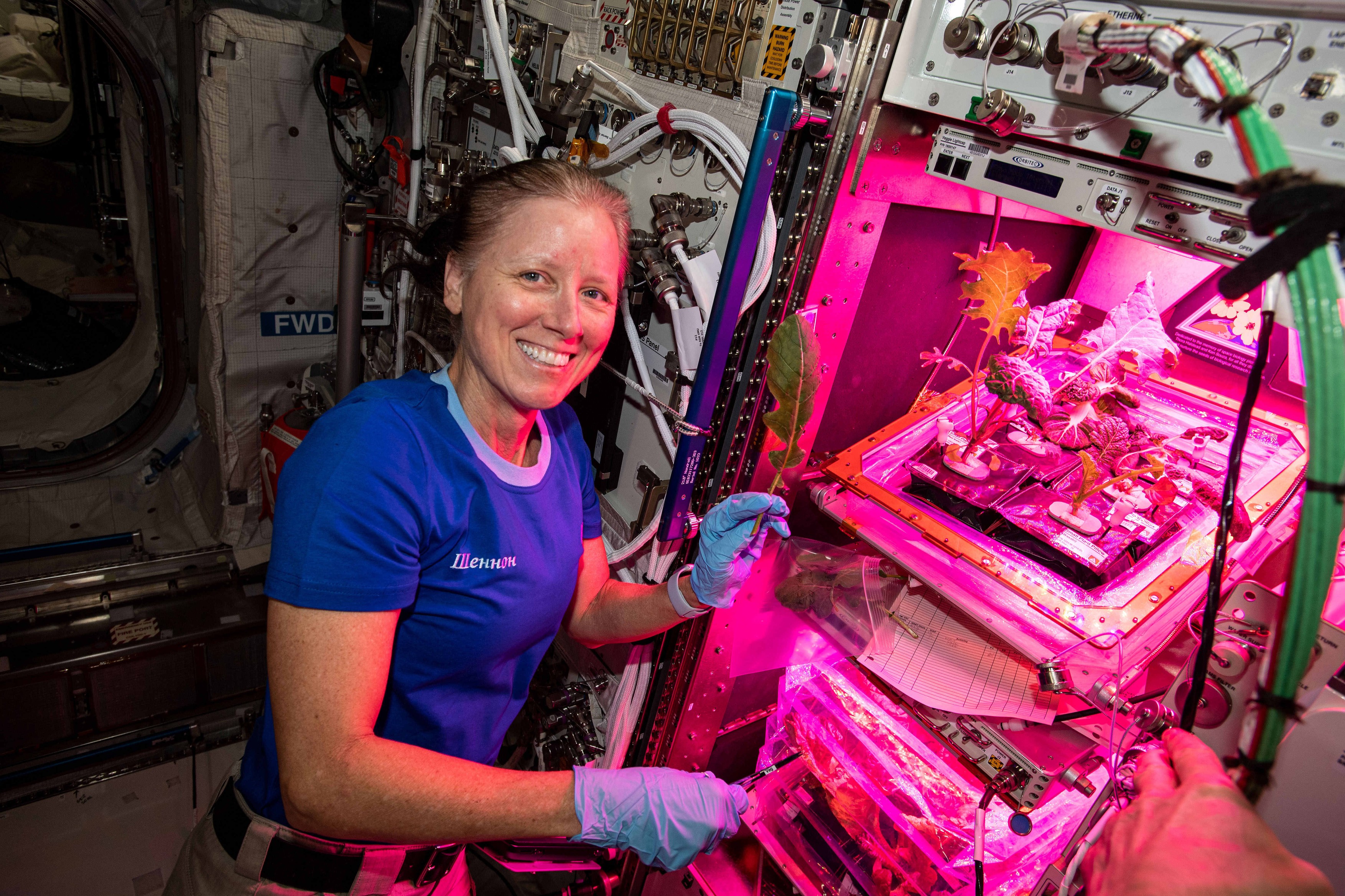 International Space Station Astronaut Shannon Walker