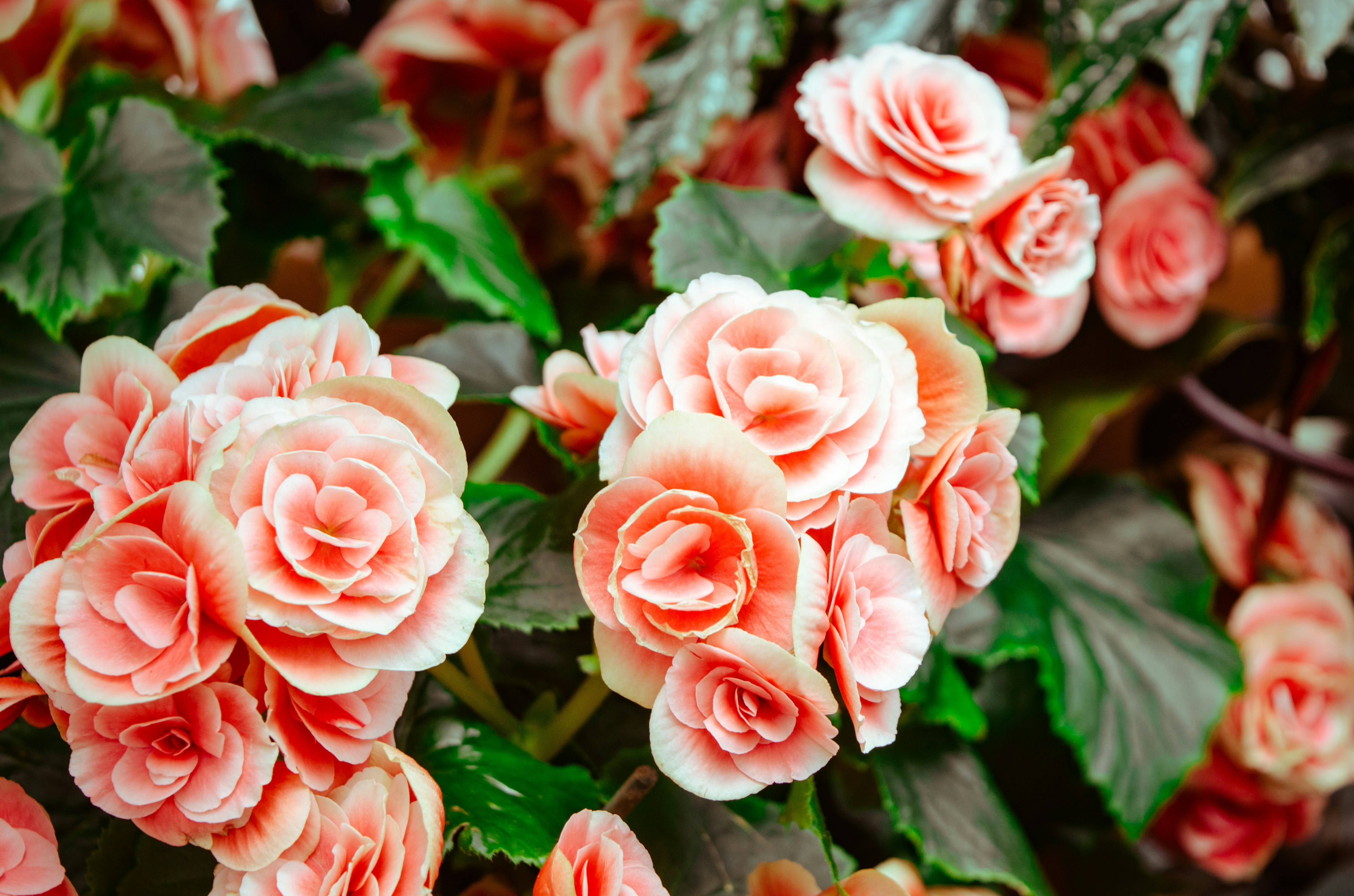 jonathan-meyer-yZJPiMC1-_k-unsplash