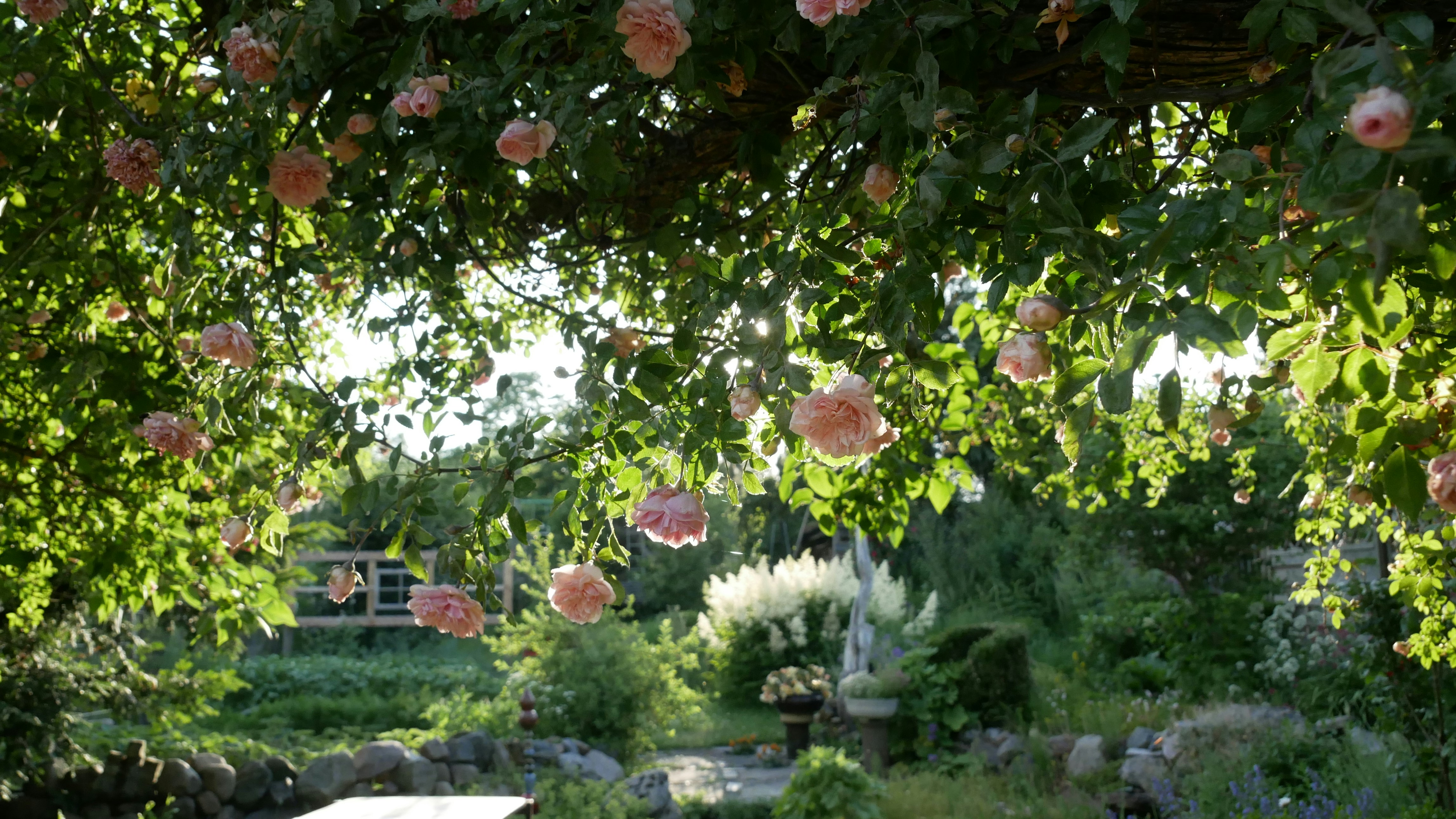 ulrike-langner-2TePVDD9KpA-unsplash
