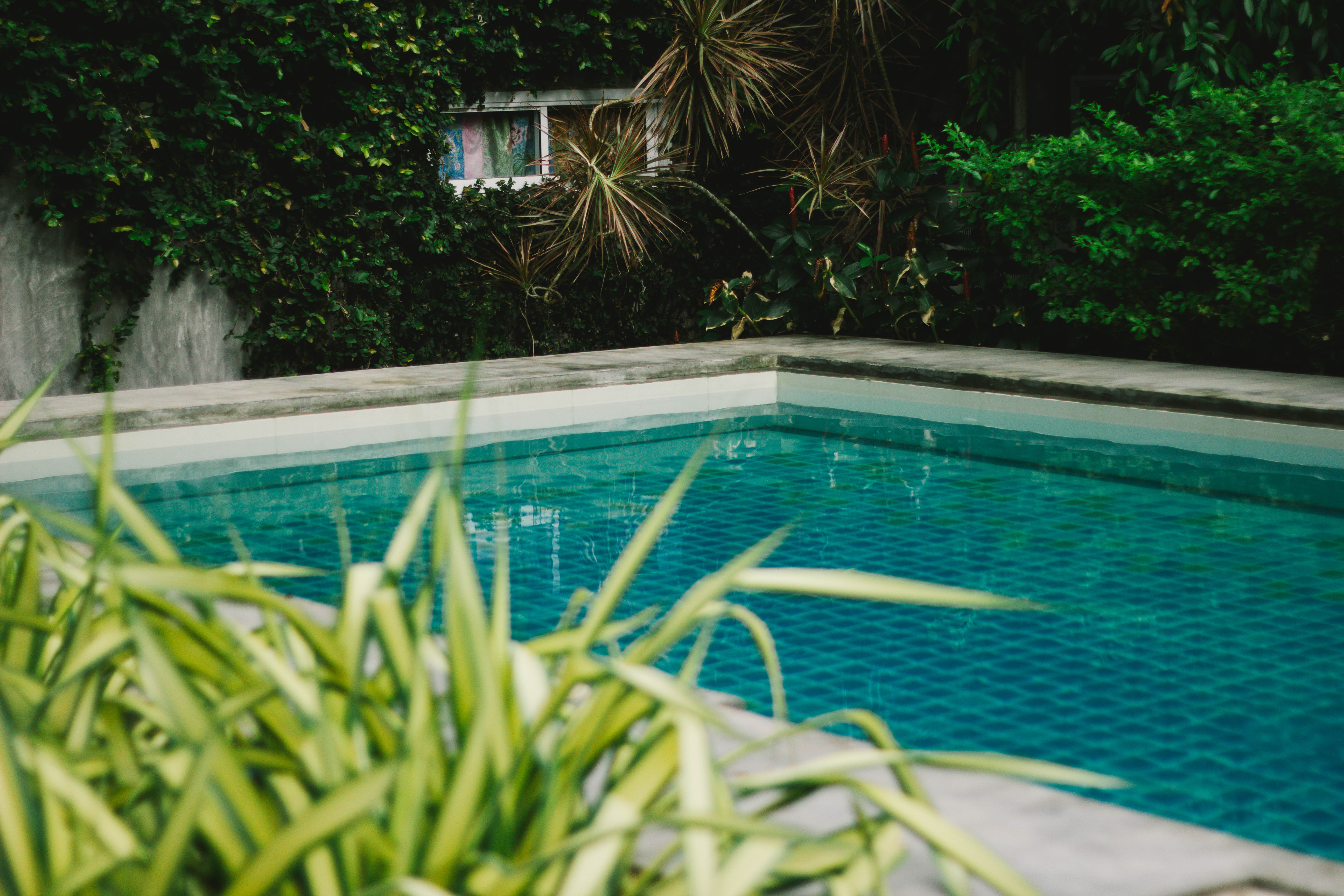Pond,In,The,Garden