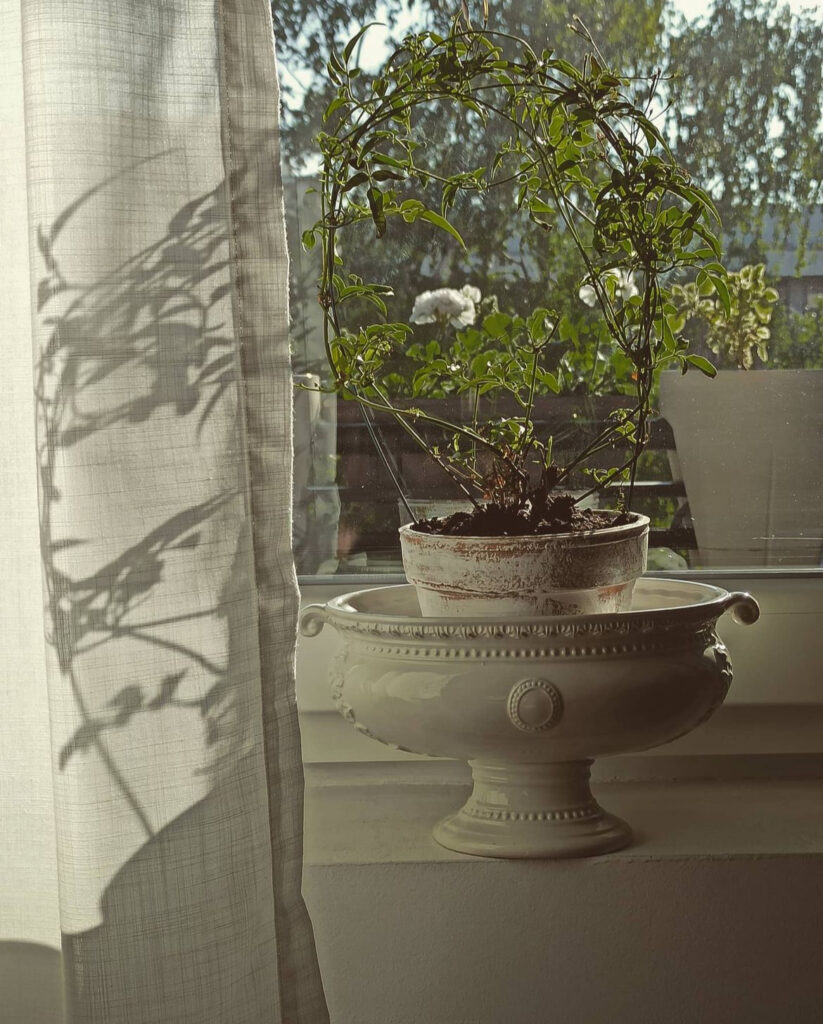 1705491575-image00023-823x1024.jpeg