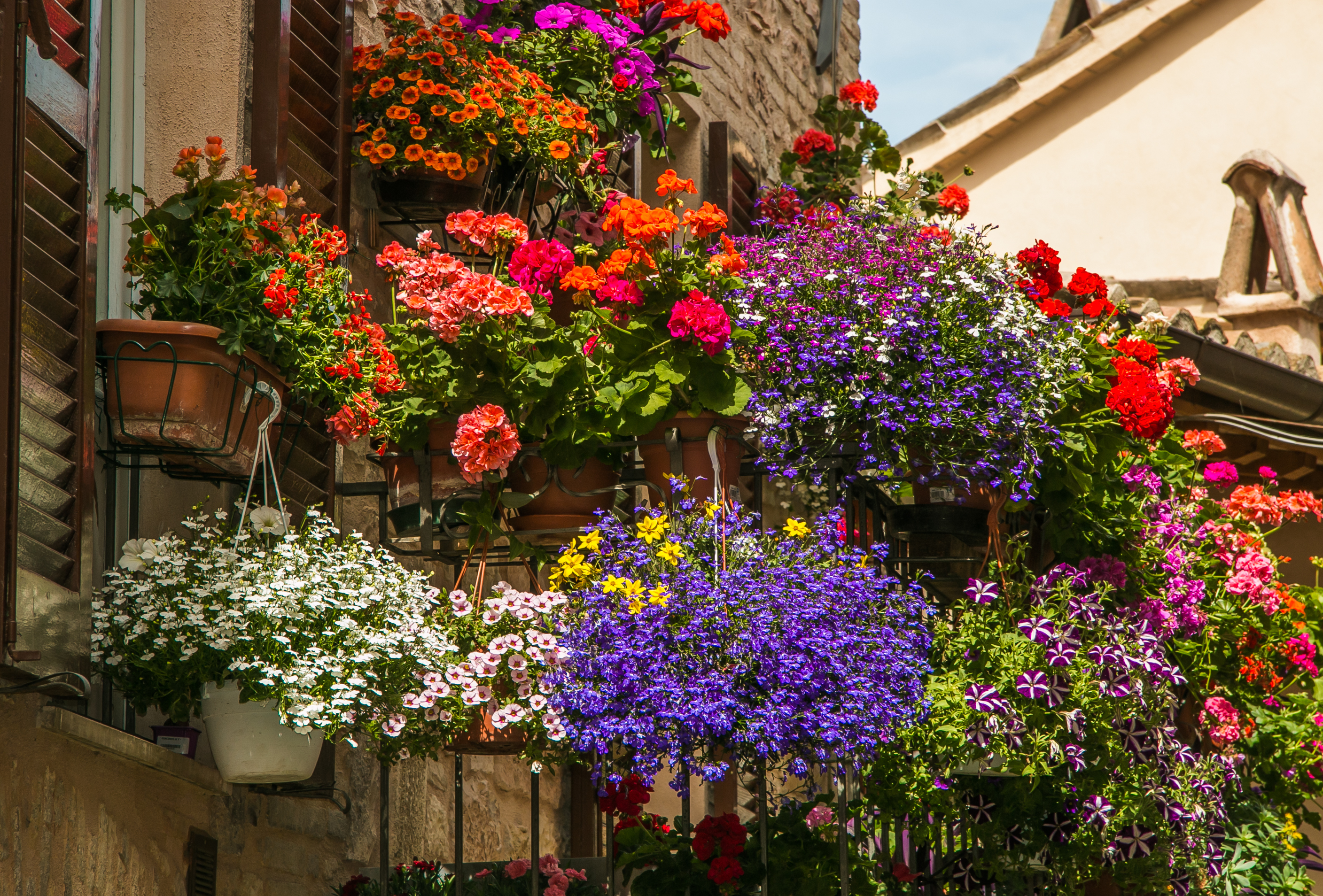Romantic,Flowery,Balcony,In,Spello,Village,,Umbria,-,Italy.