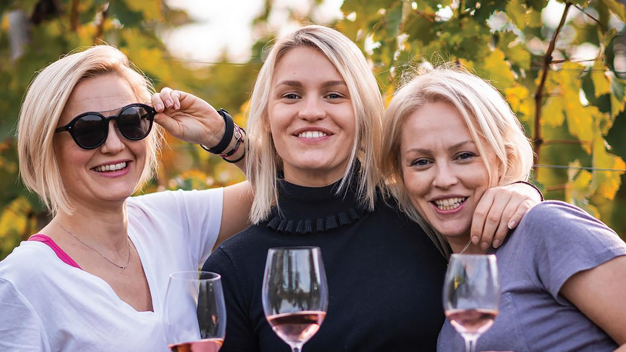vinarija sestre đurđević