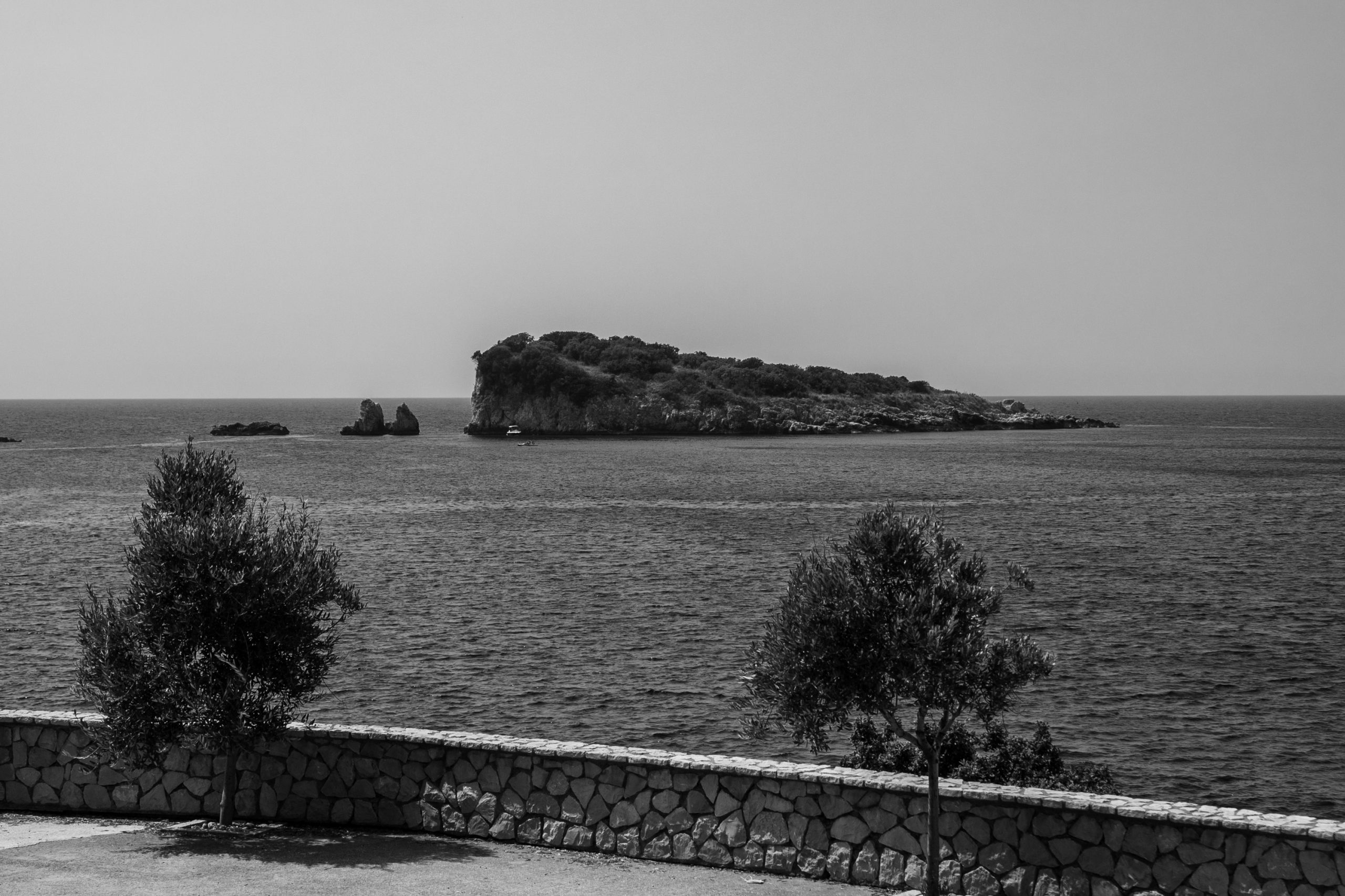 1655365202-IMG_9880-scaled.jpg