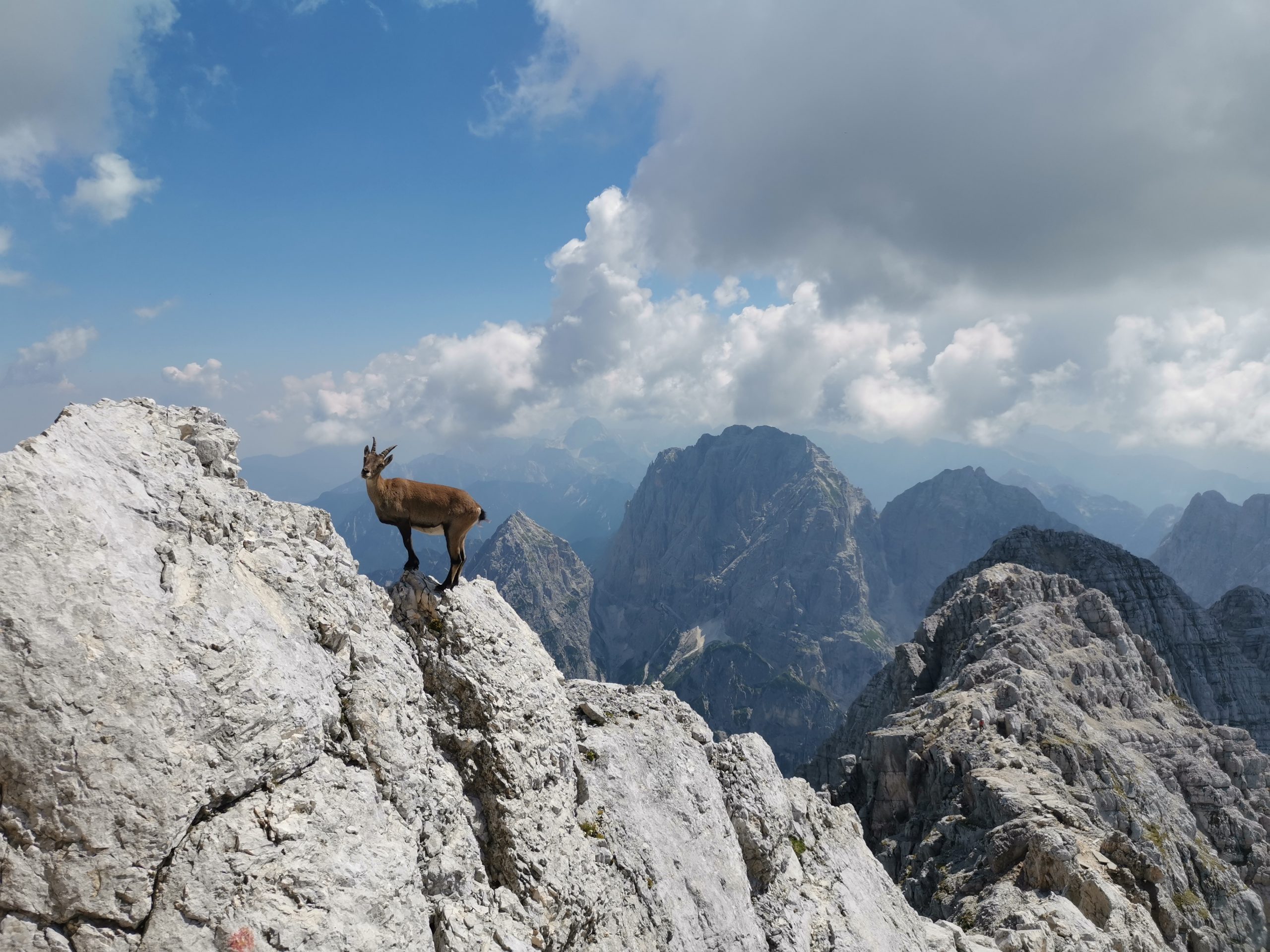 1628750145-Montaz-scaled.jpg