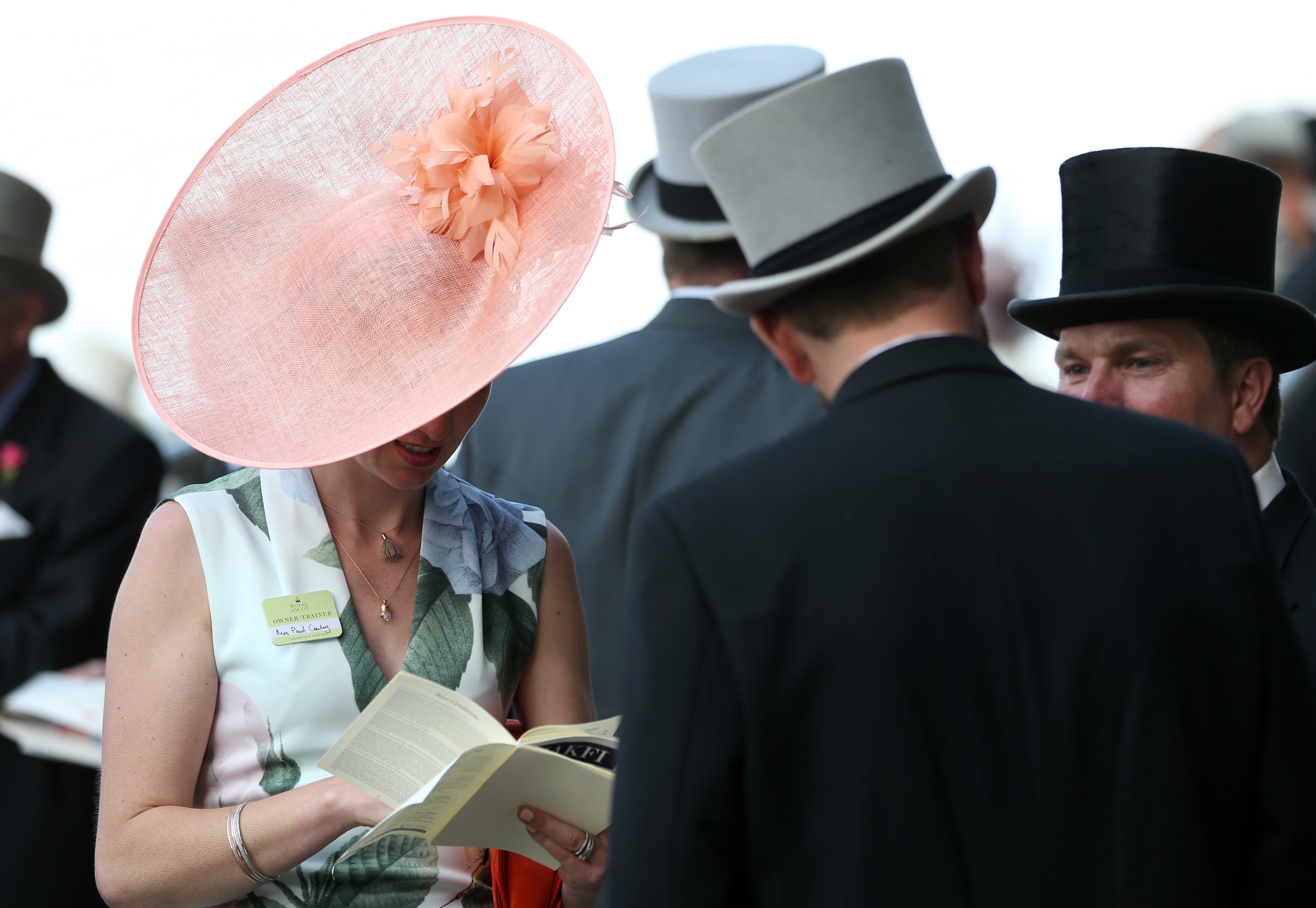 Horse Racing - Royal Ascot 2015 Day One Ascot Racecourse, High St, Ascot, United Kingdom - 11 Jun 2015