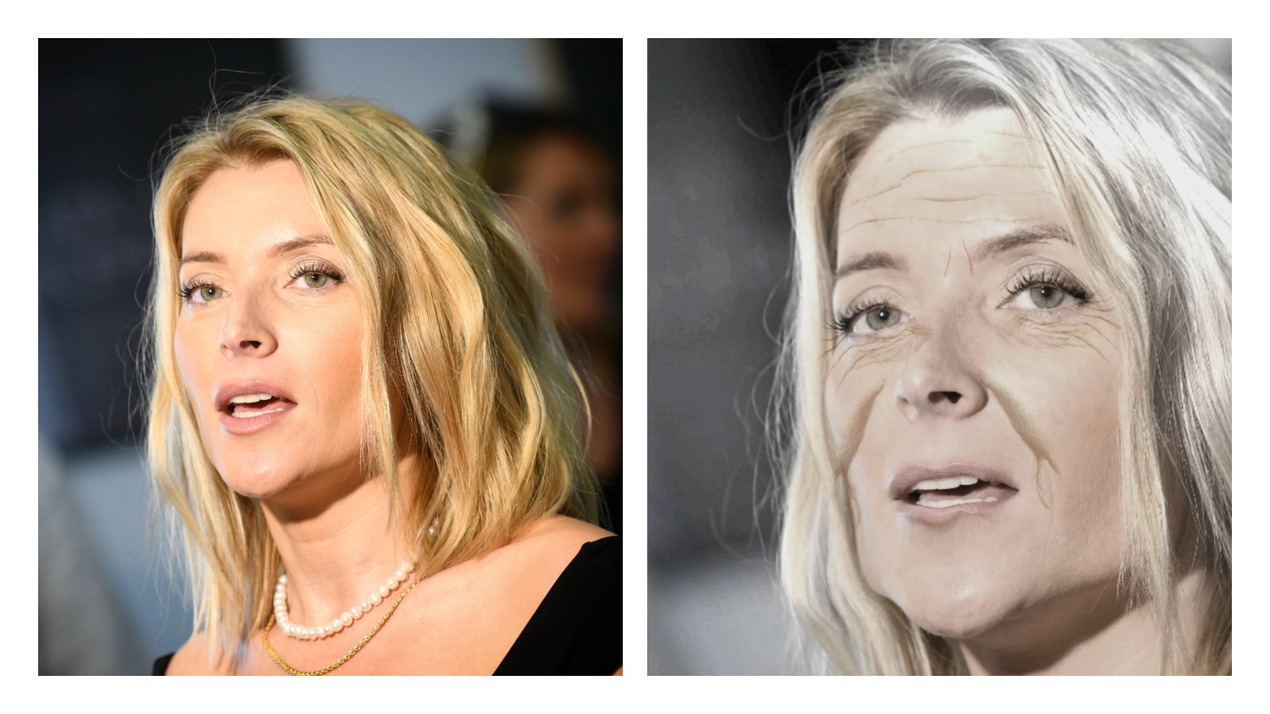 1667489872-collage.jpg