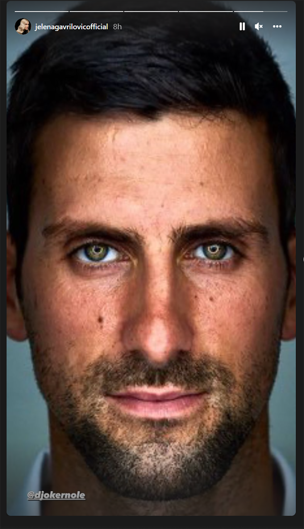 1641458811-jelena-gavrilovic-novak.PNG