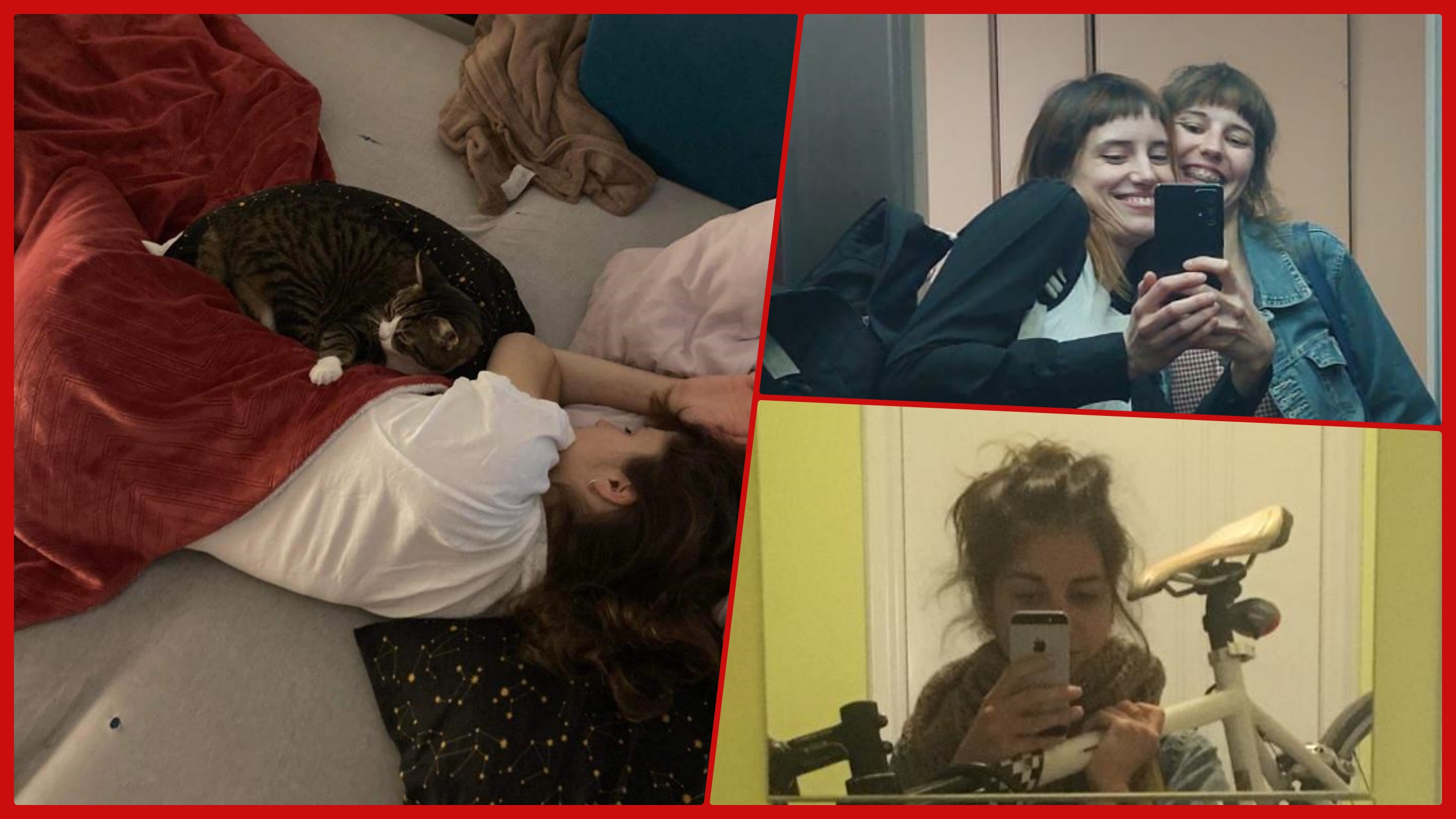collage456565656