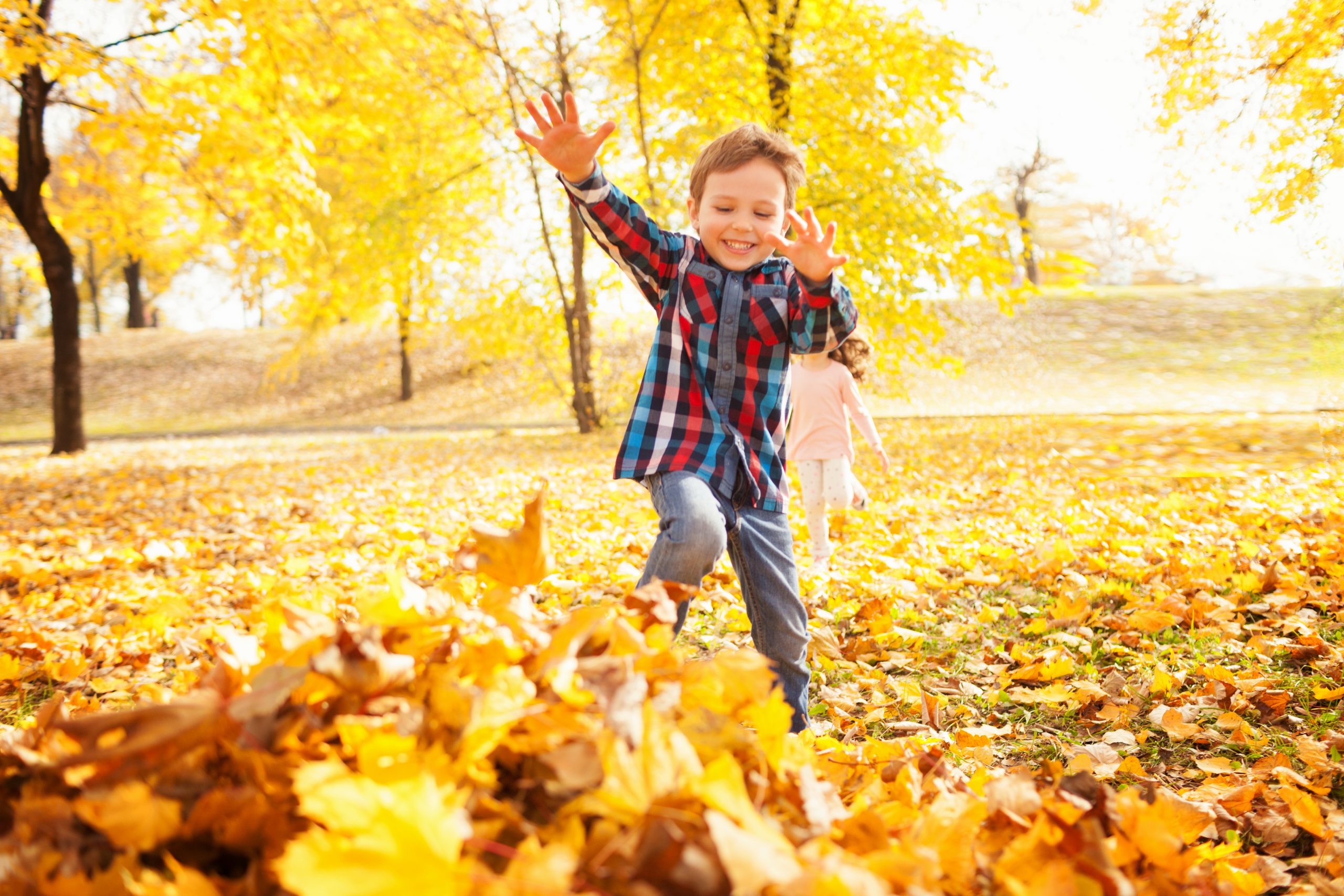 1637082005-shutterstock_369646514-scaled.jpg