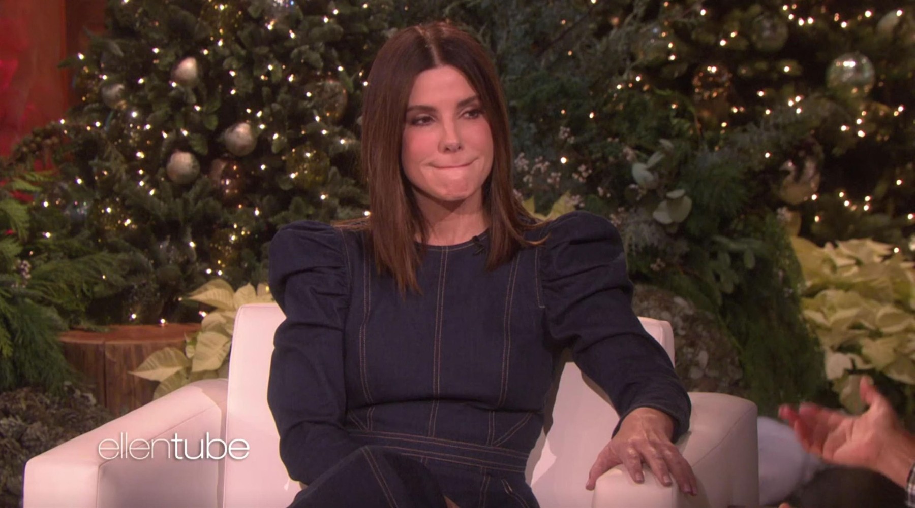 Sandra Bullock opens up on The Ellen Show about losing her father and dogs just weeks apart