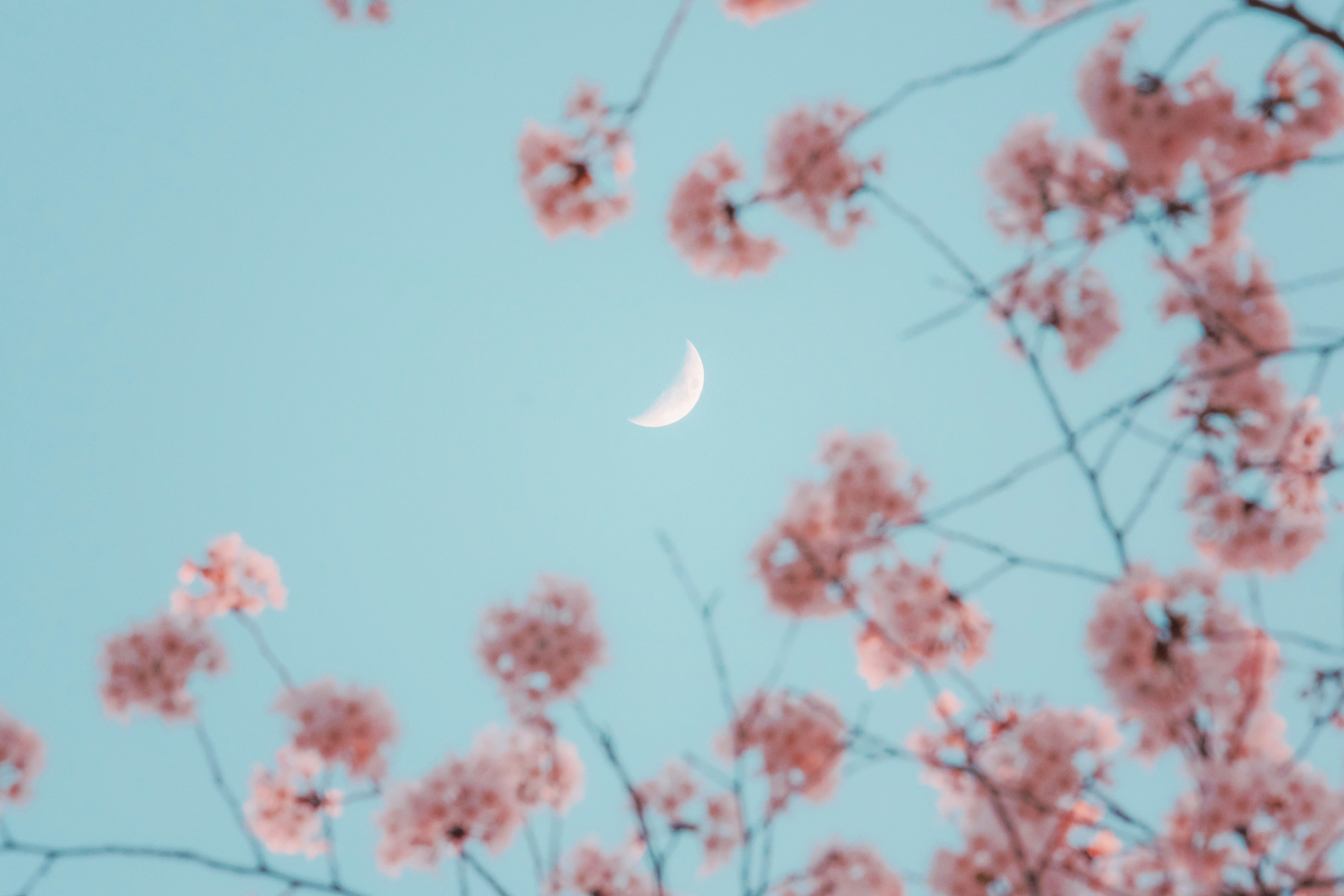 mesec horoskop astro zhang-kaiyv-8d4e0hMBwd4-unsplash