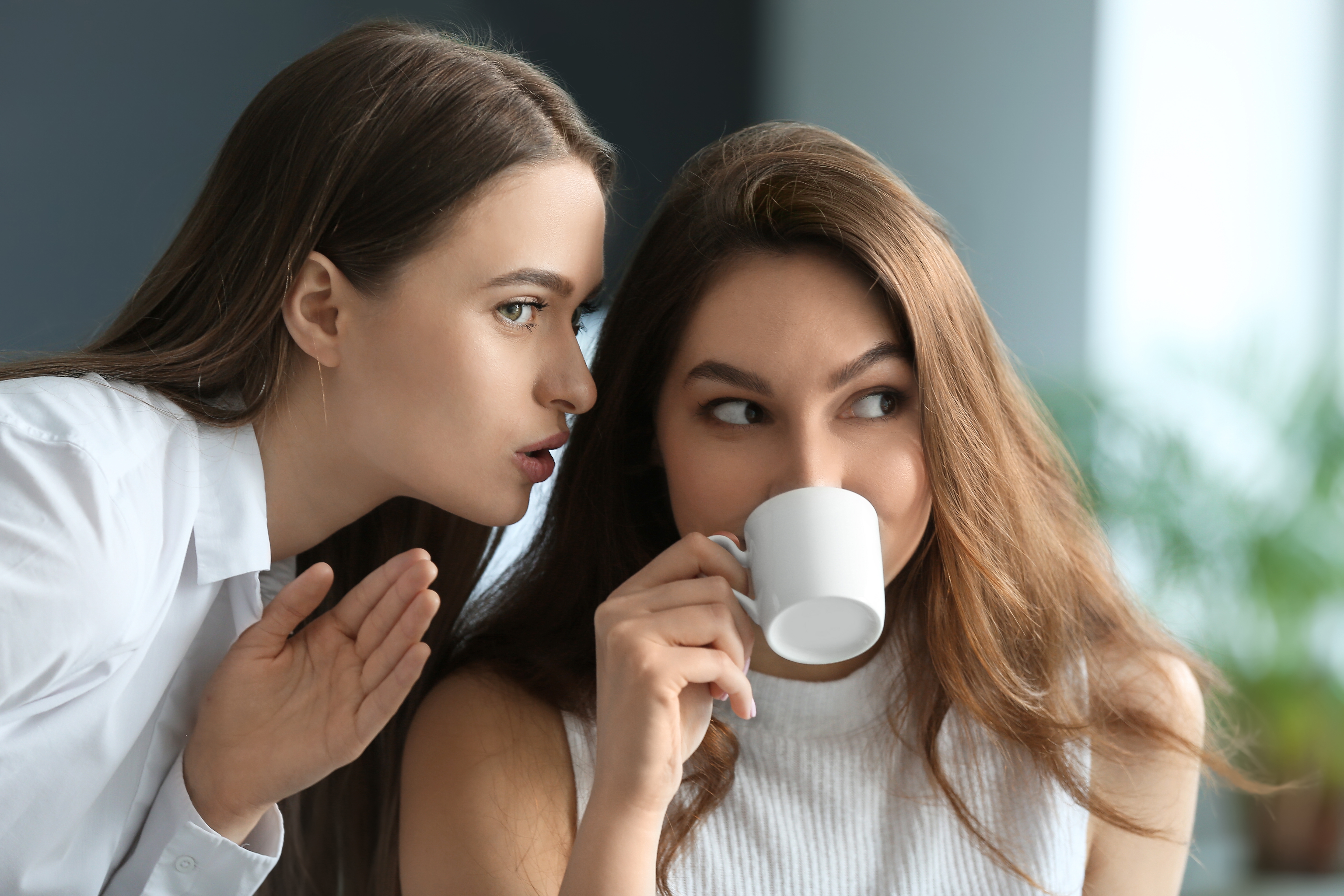 Female,Colleagues,Gossiping,In,Office