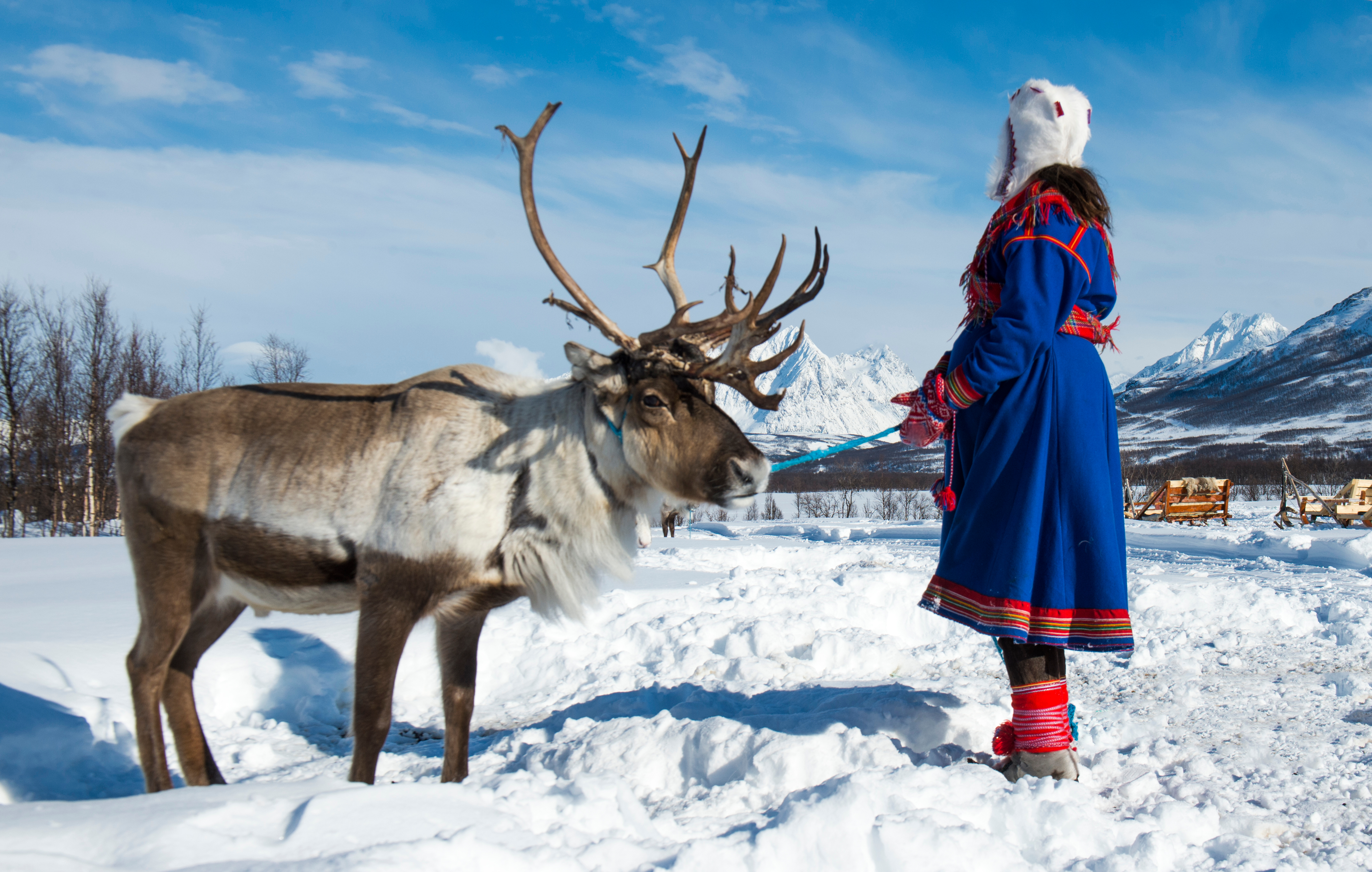 Northern,Norway,,A,Traditional,Dressed,Sami,Woman,.tromso,Lapland