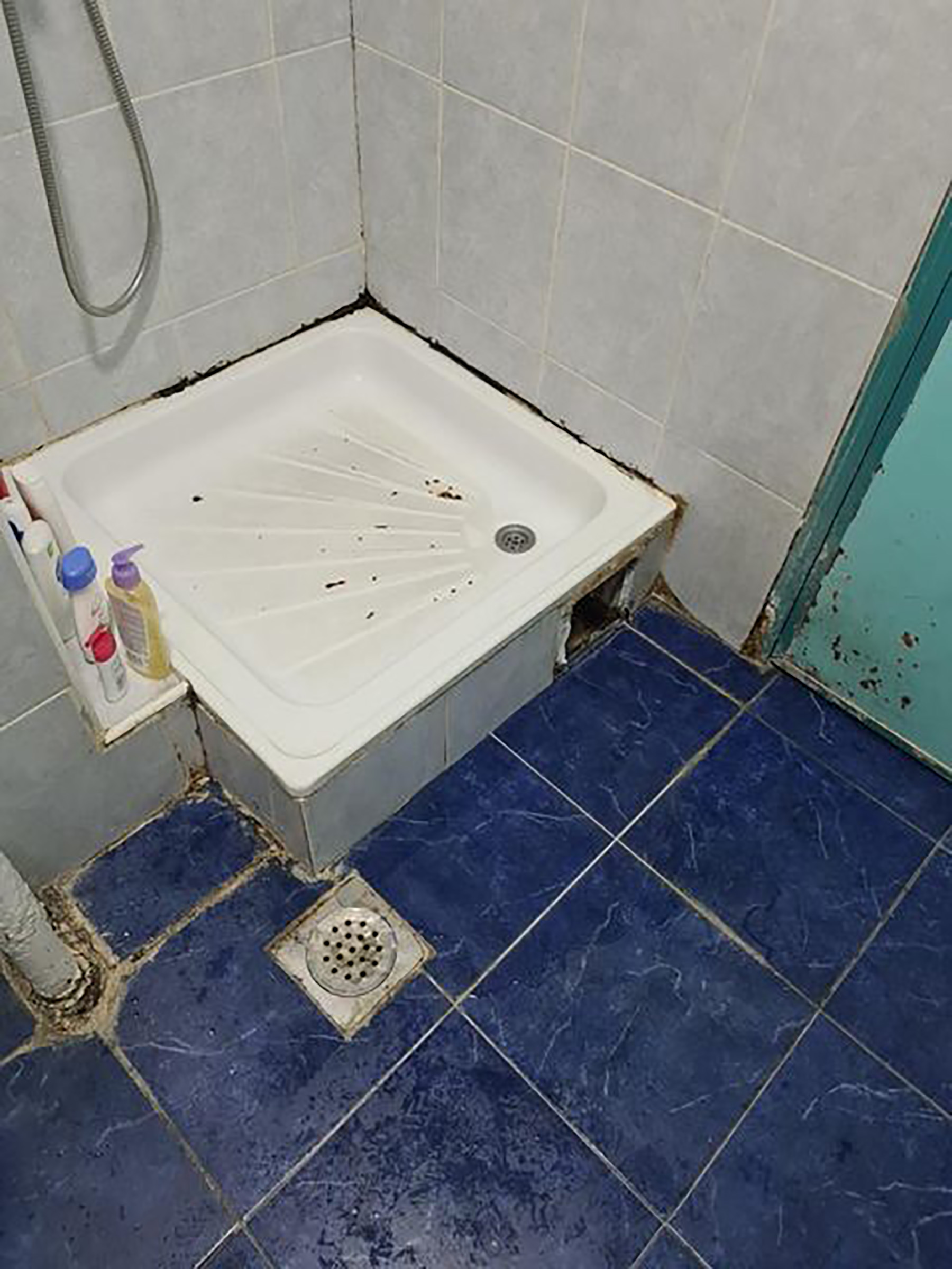 1638350454-12.jpg