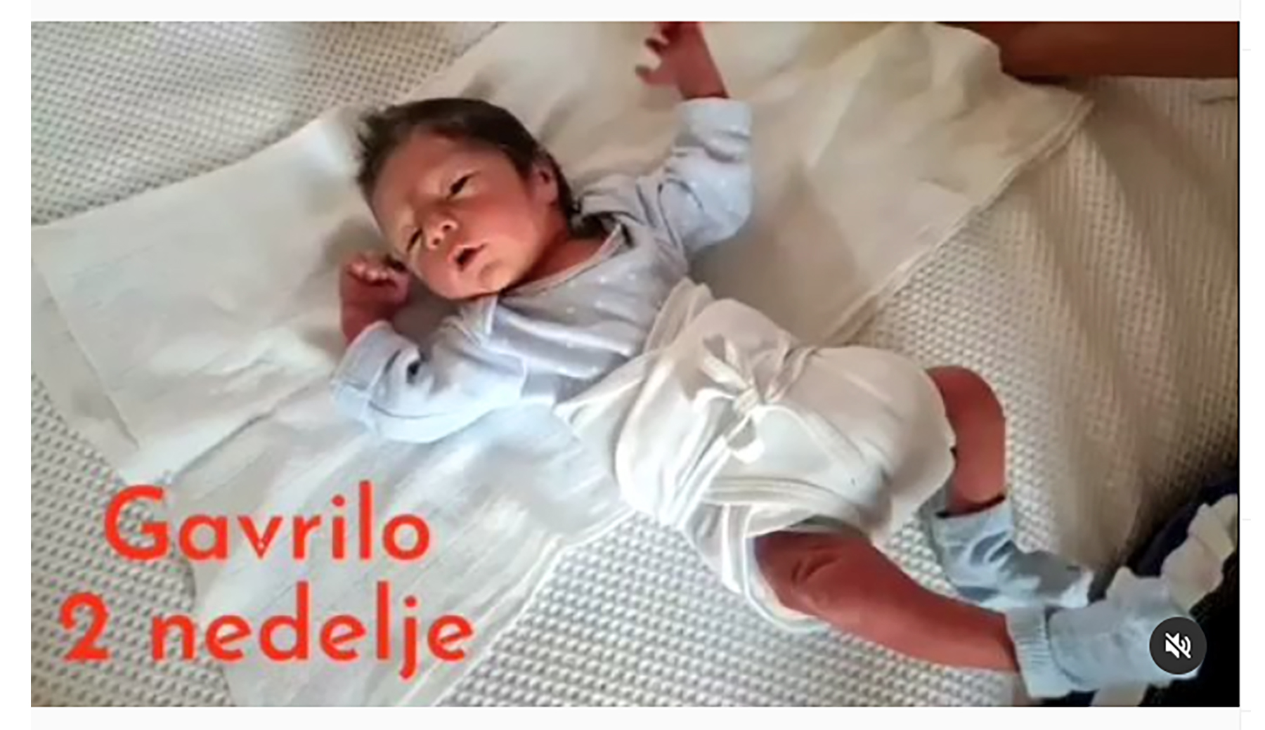 mali gavrilo