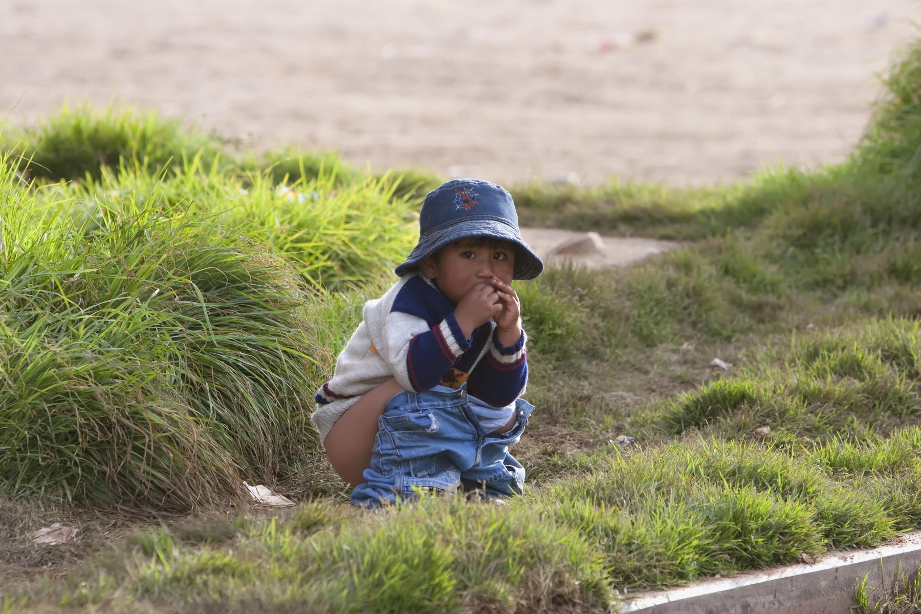 Aymara Girl Going Potty, Copacabana, La Paz Department, Bolivia