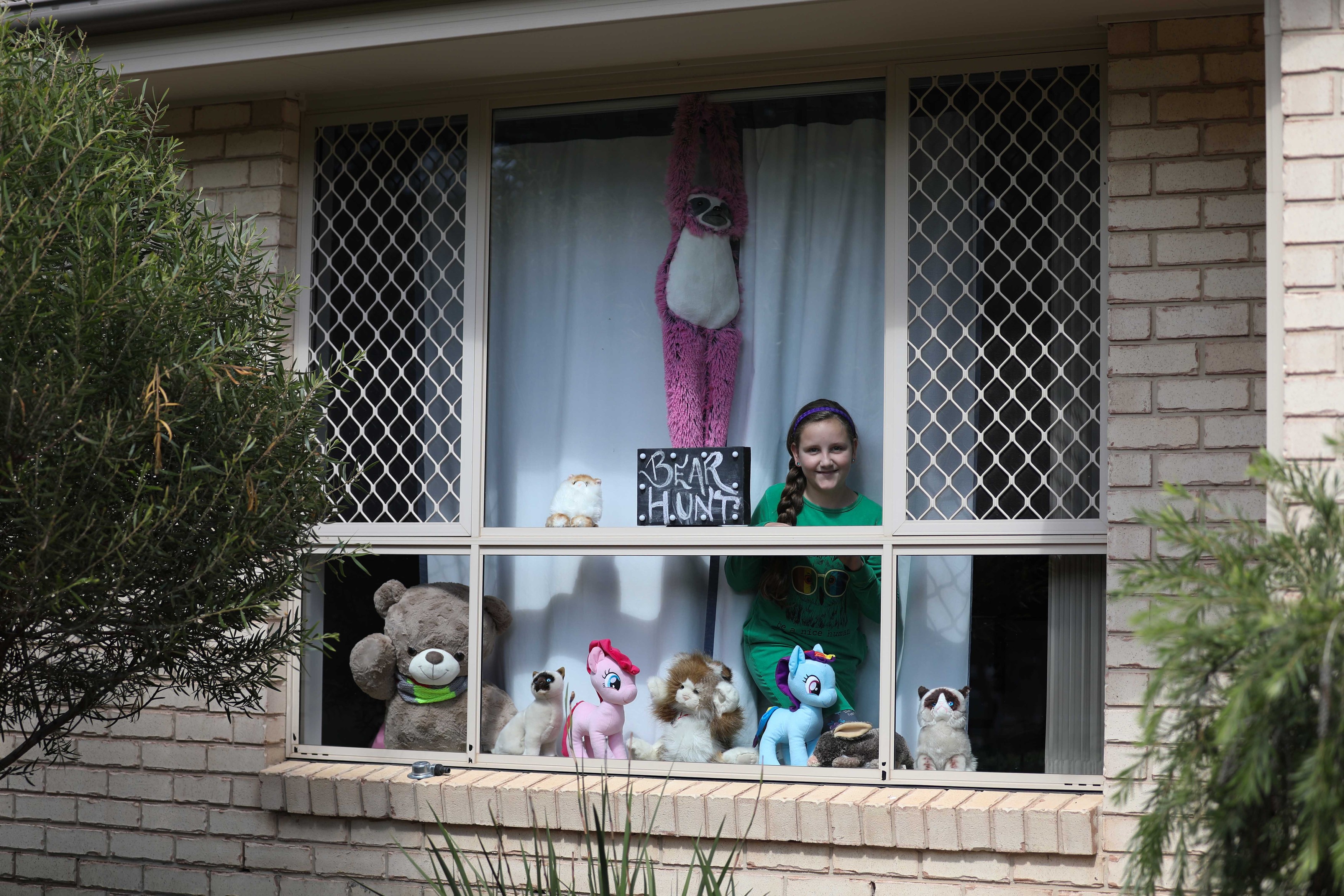 Covid Bear Hunt