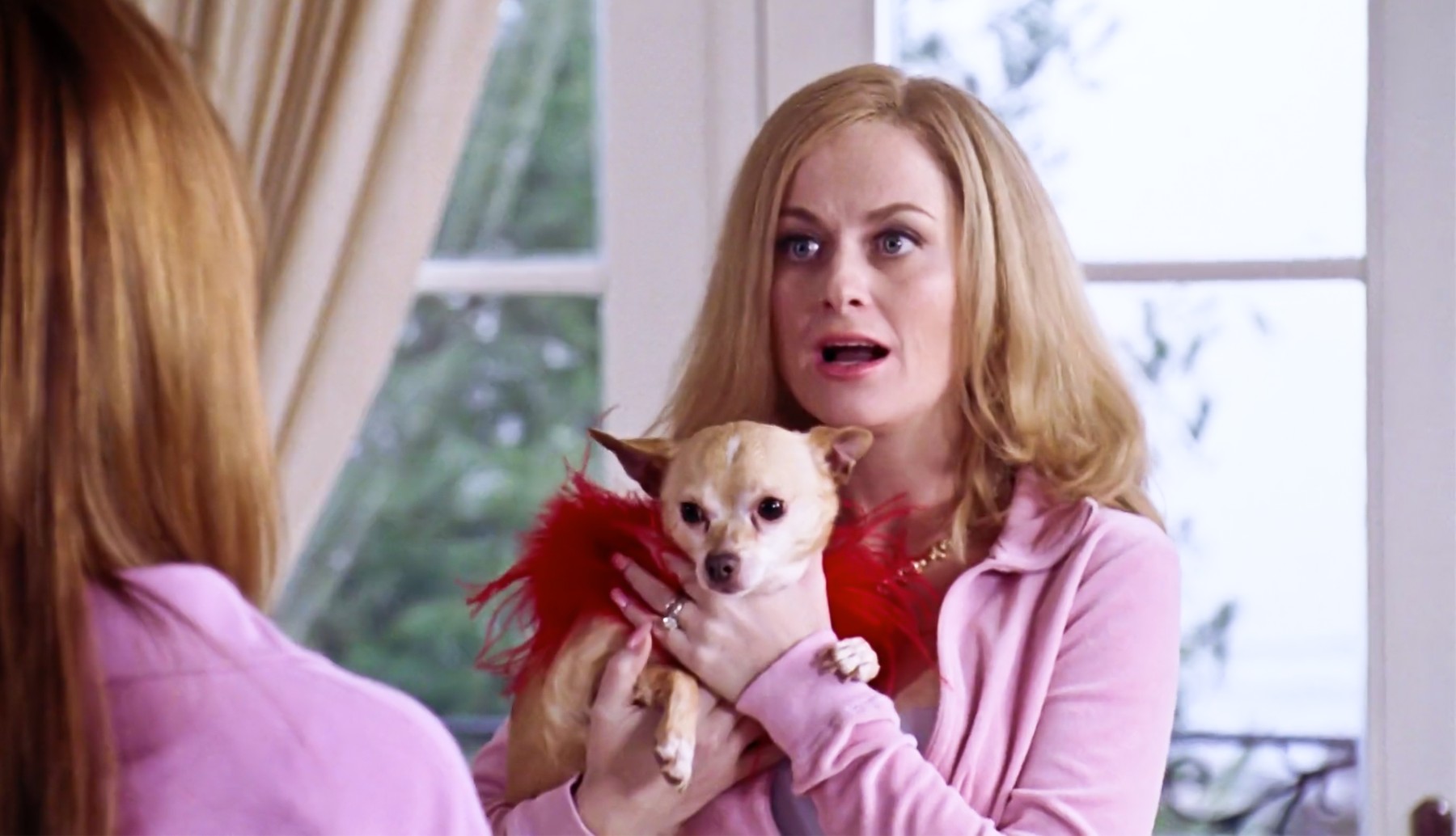 Amy Poehler