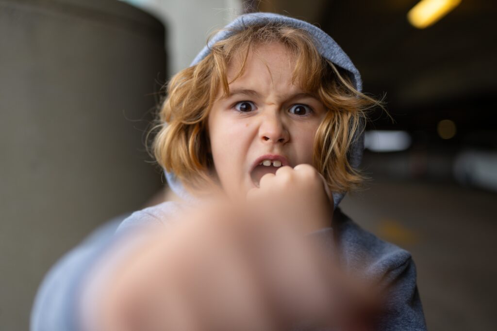 1730729712-shutterstock_2425617557-1024x683.jpg
