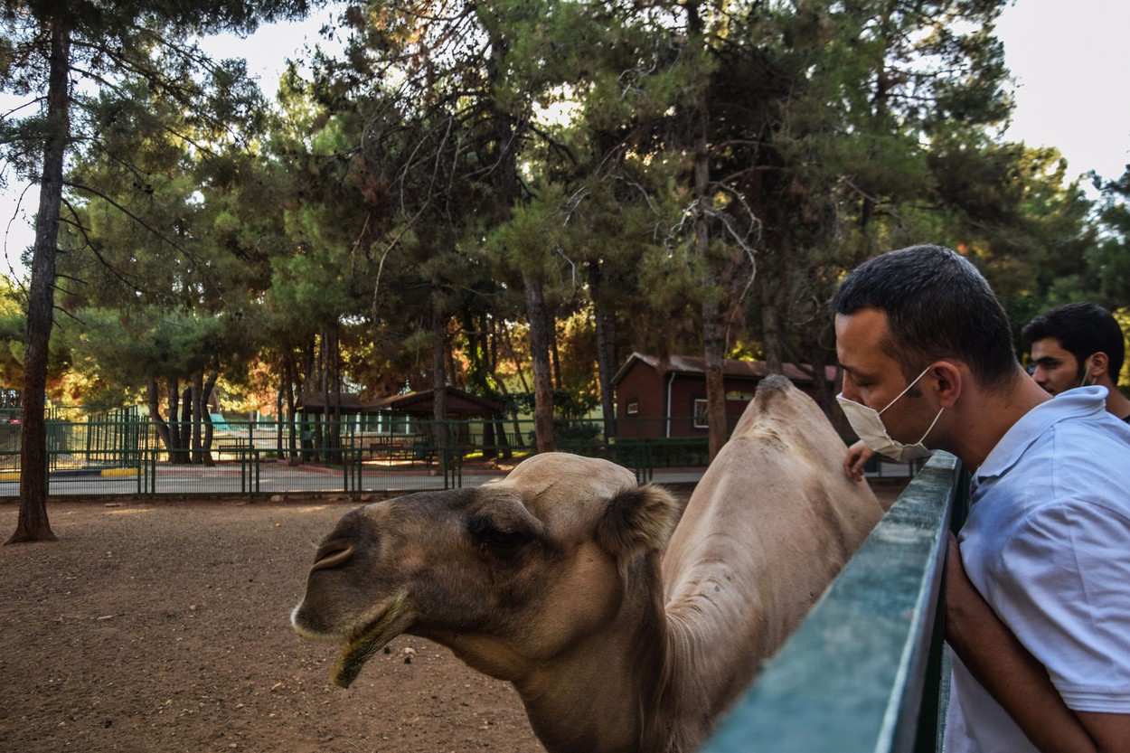 Zoo reopens amid Coronavirus Pandemic in Turkey