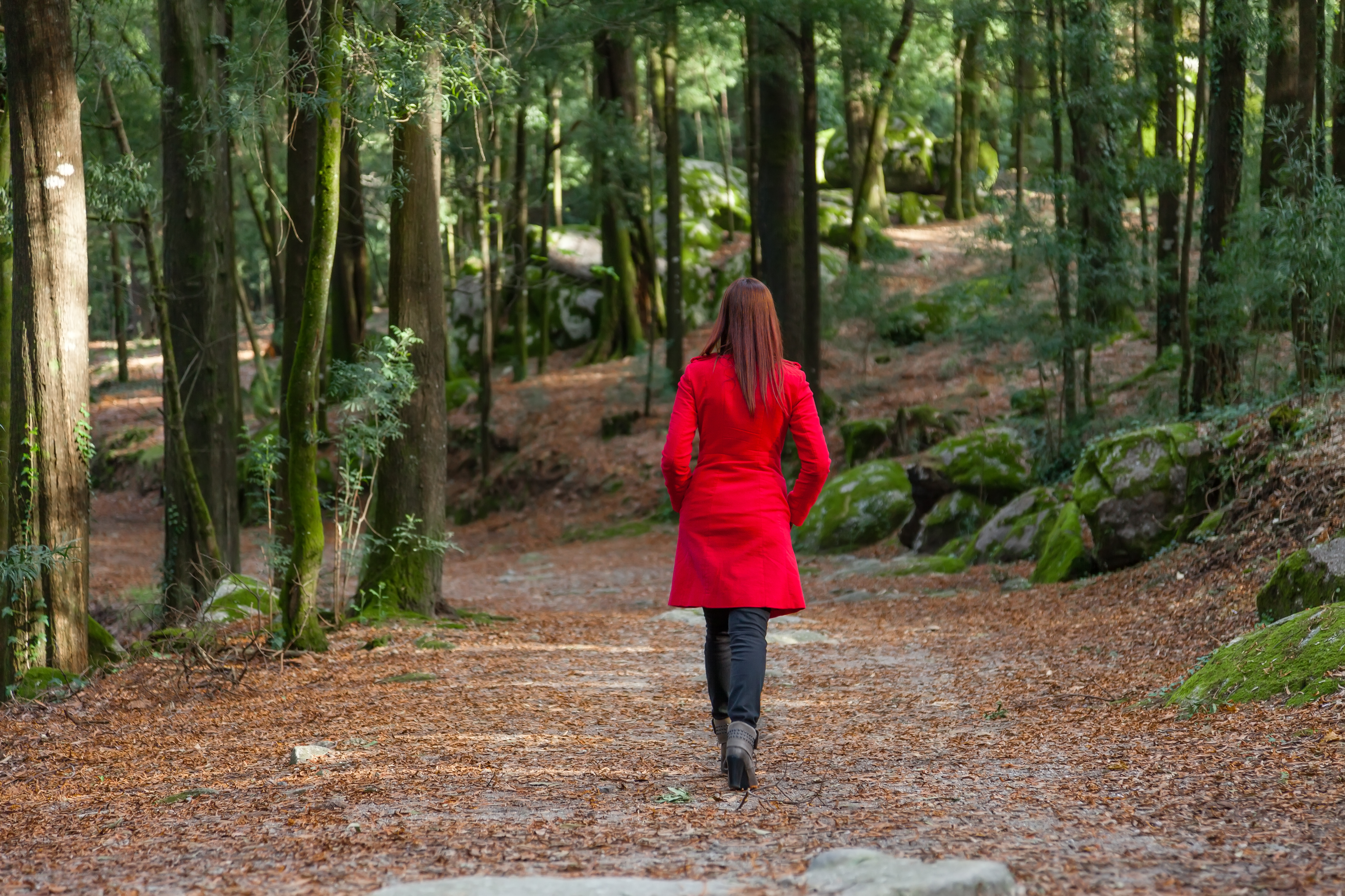 Young,Woman,Walking,Away,Alone,On,A,Forest,Path,Wearing