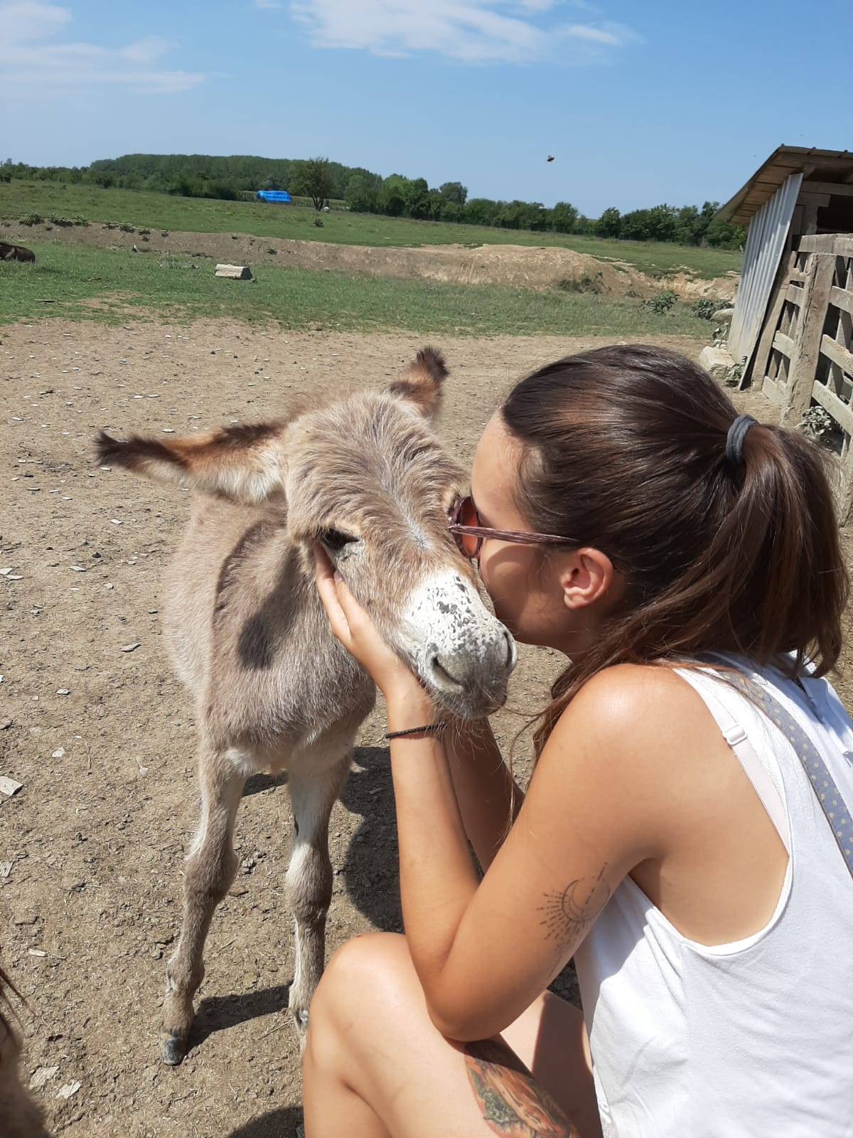 Draga veganka