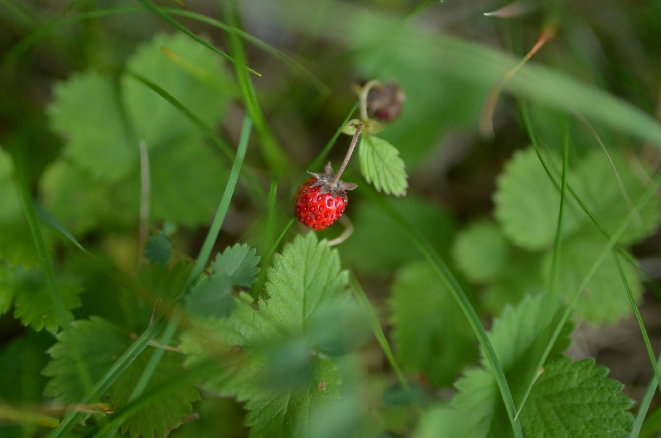 DSC_8613-scaled.jpg