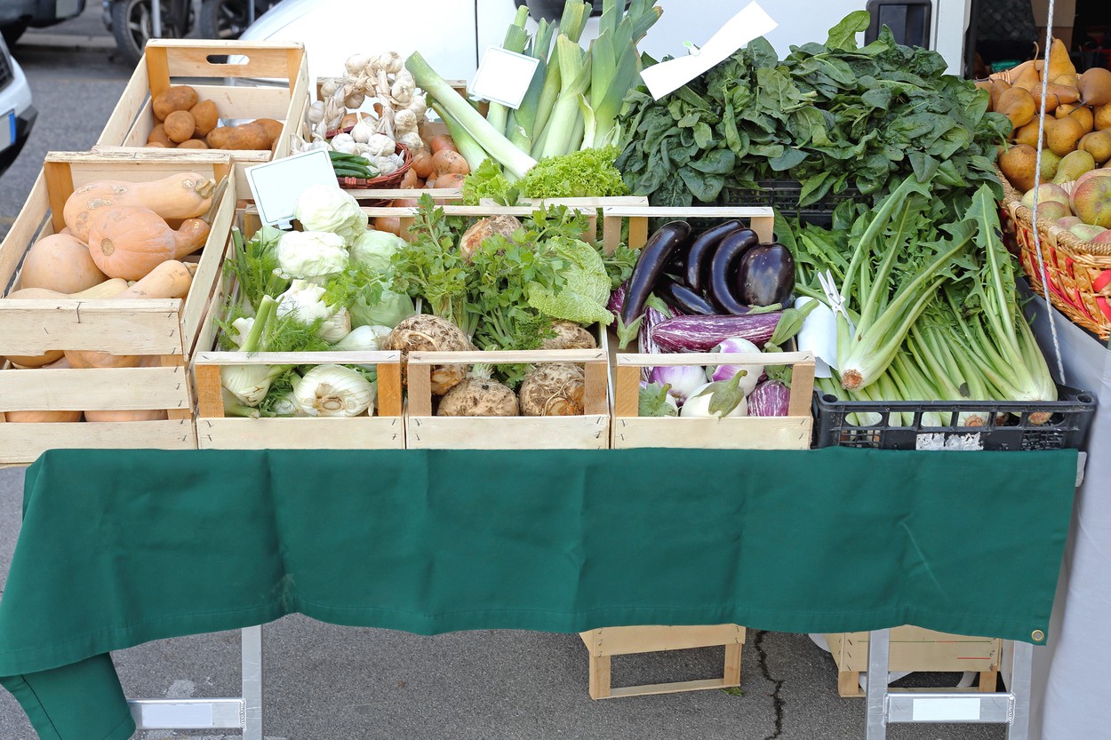 Organic Vegetables