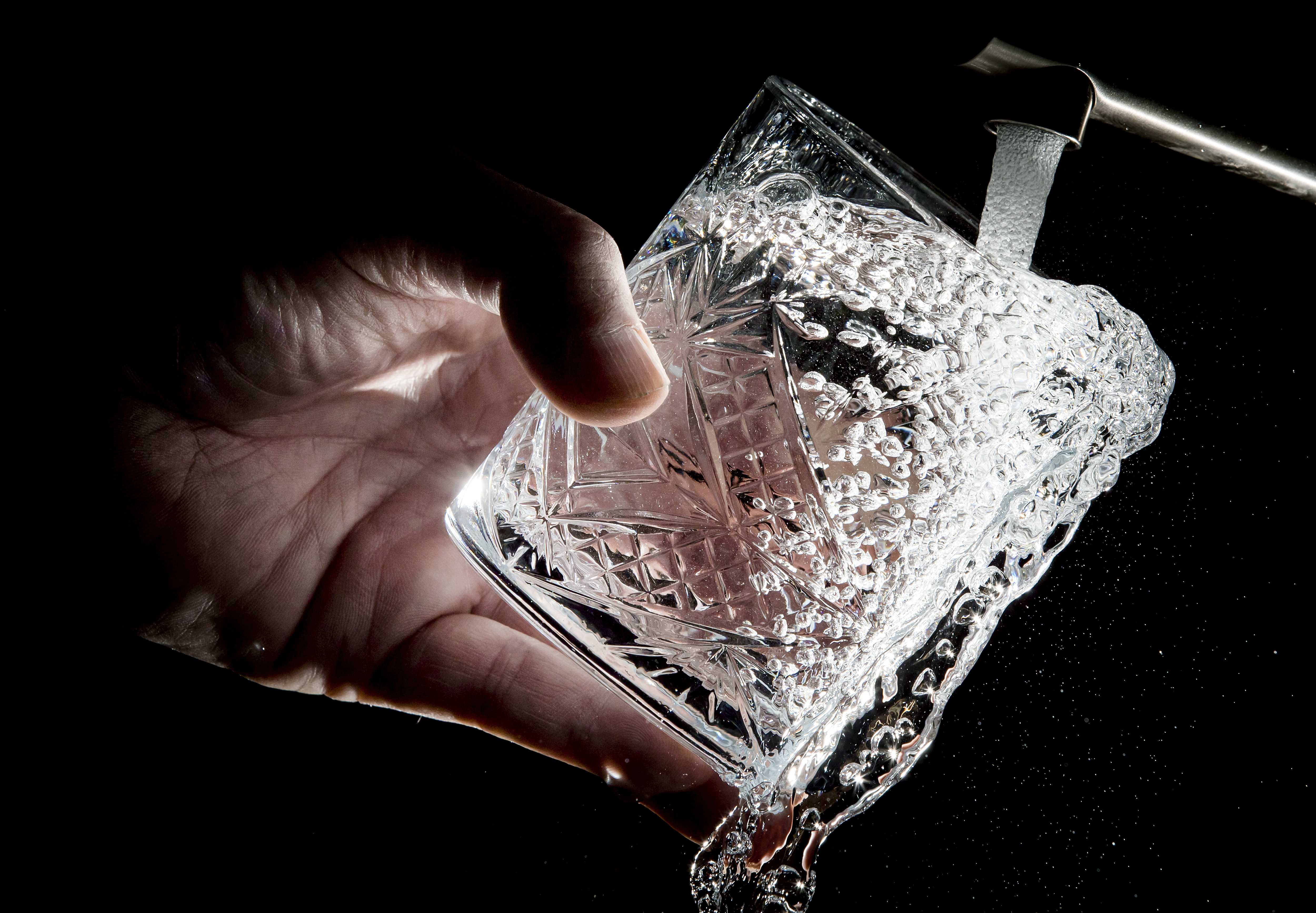 Sources for Dutch drinking water at risk