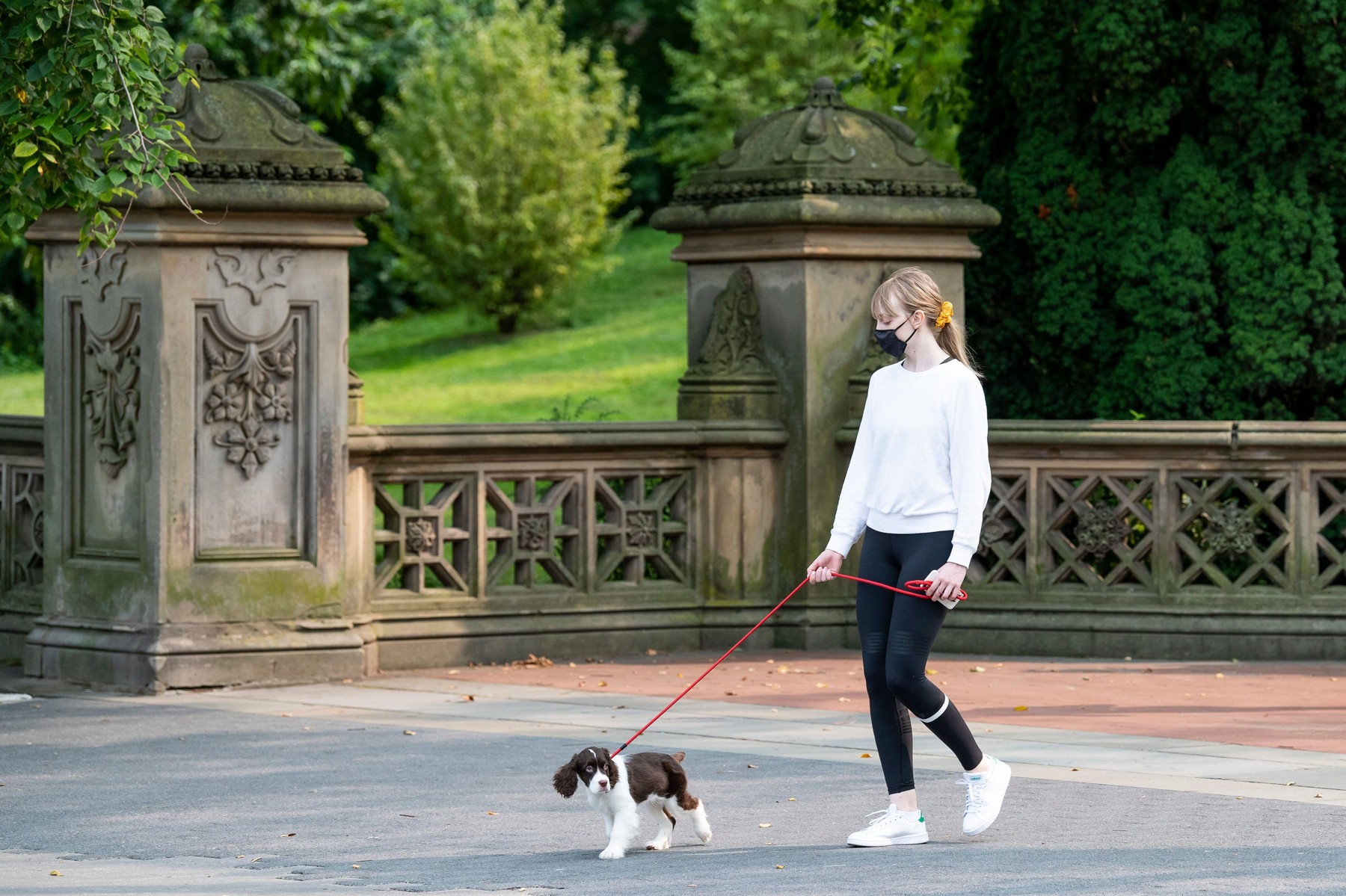 Manhattan, New York, USA. 16th Sep, 2020. A woman walks her dog while wearing a PPE mask in Central Park in Manhattan, New York. Mandatory credit: Kostas Lymperopoulos/CSM/Alamy Live News