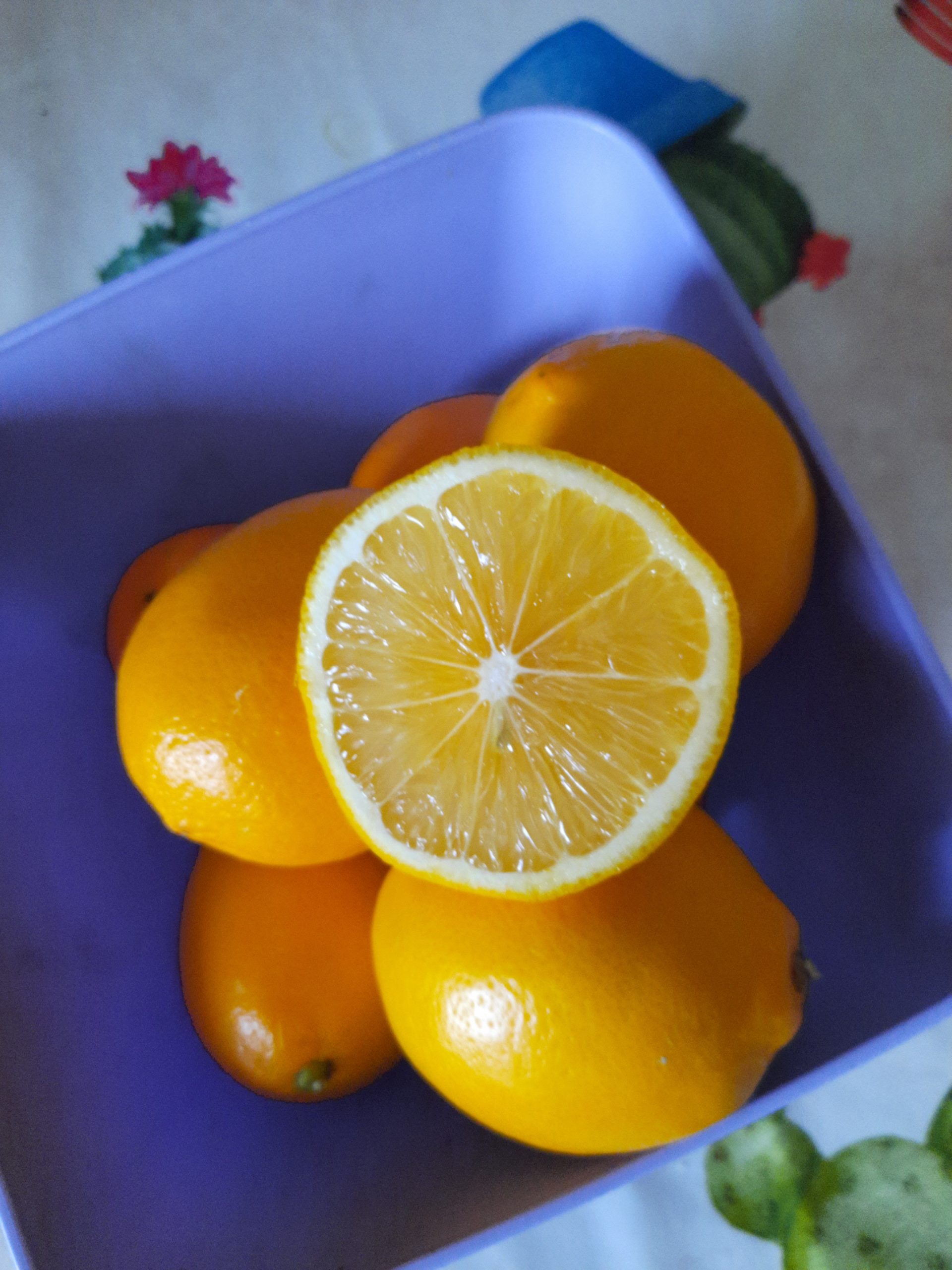 20201224_080802-scaled.jpg