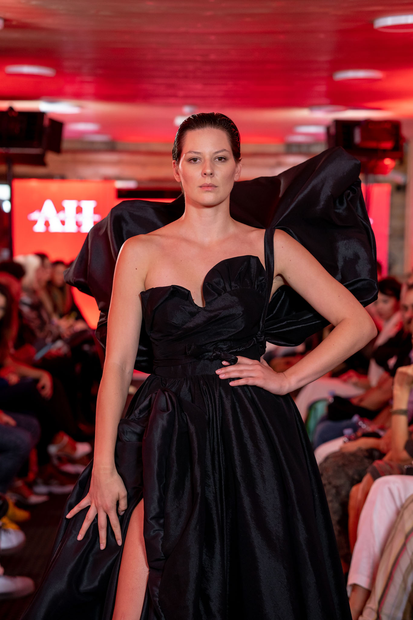 1661262802-Hasanbegovic-5.jpg