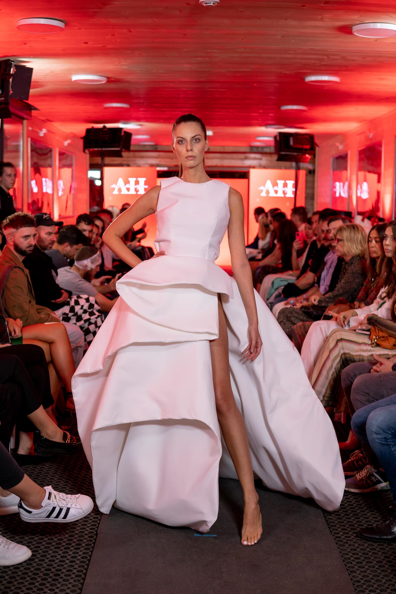 1661262810-Hasanbegovic-9.jpg