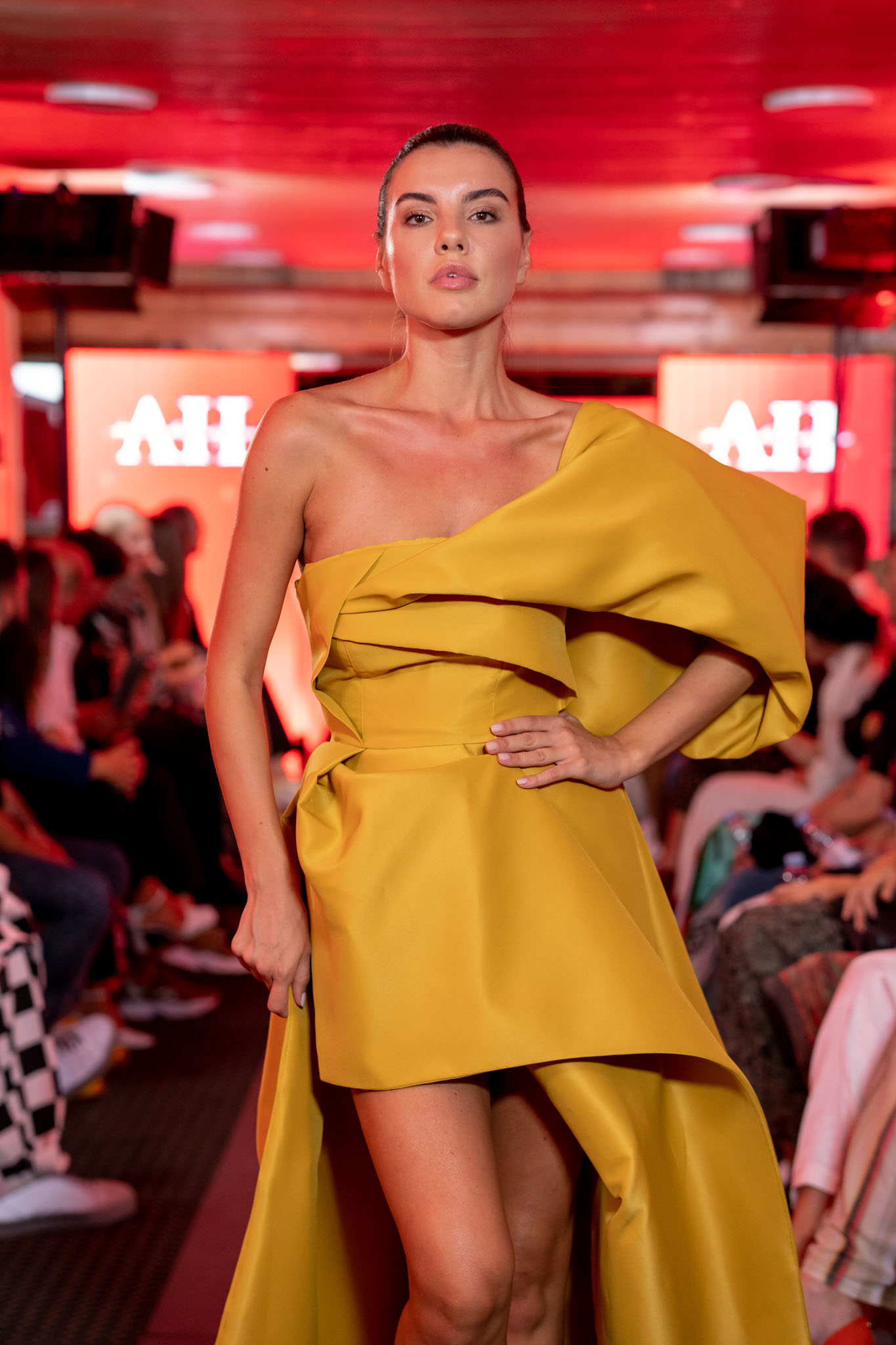 1661262798-Hasanbegovic-3.jpg