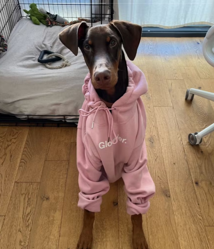 glossier duks