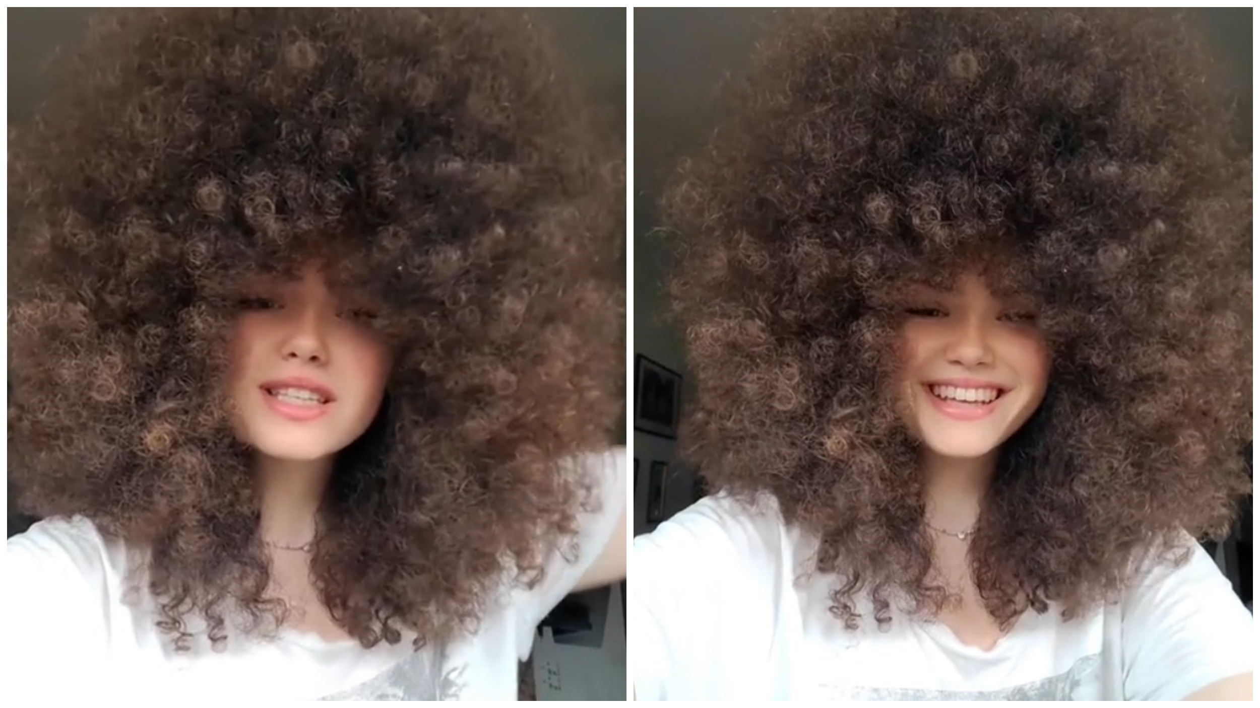 collage asdgasddfddd