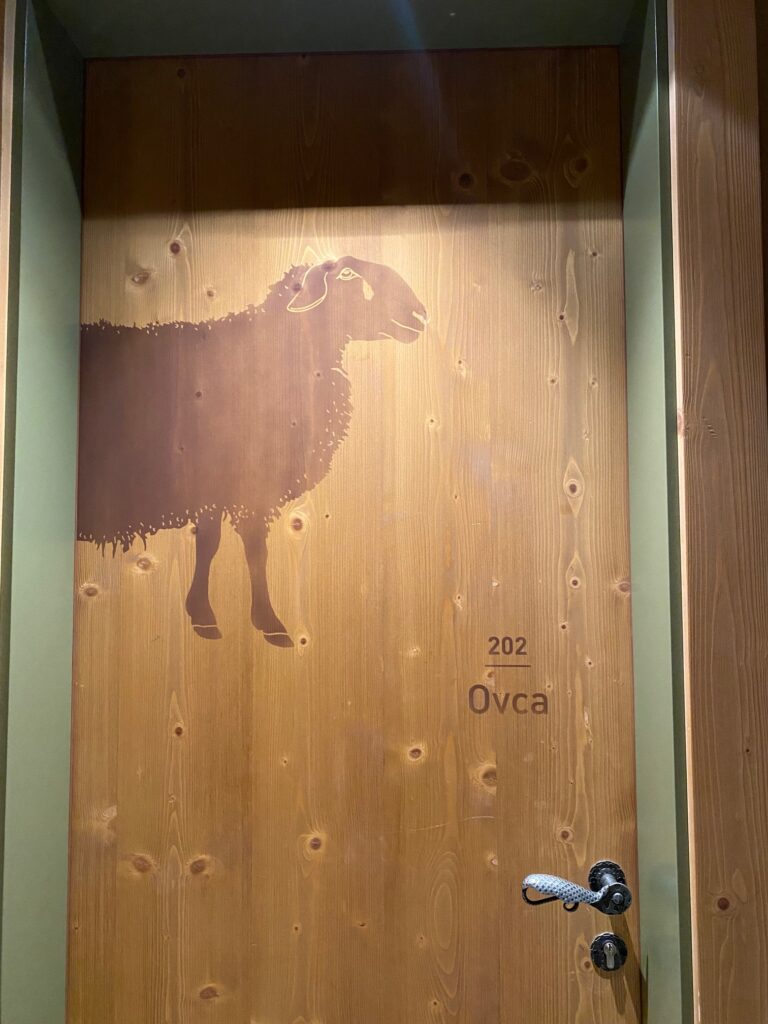 1777553183-IMG_9699-768x1024.jpeg