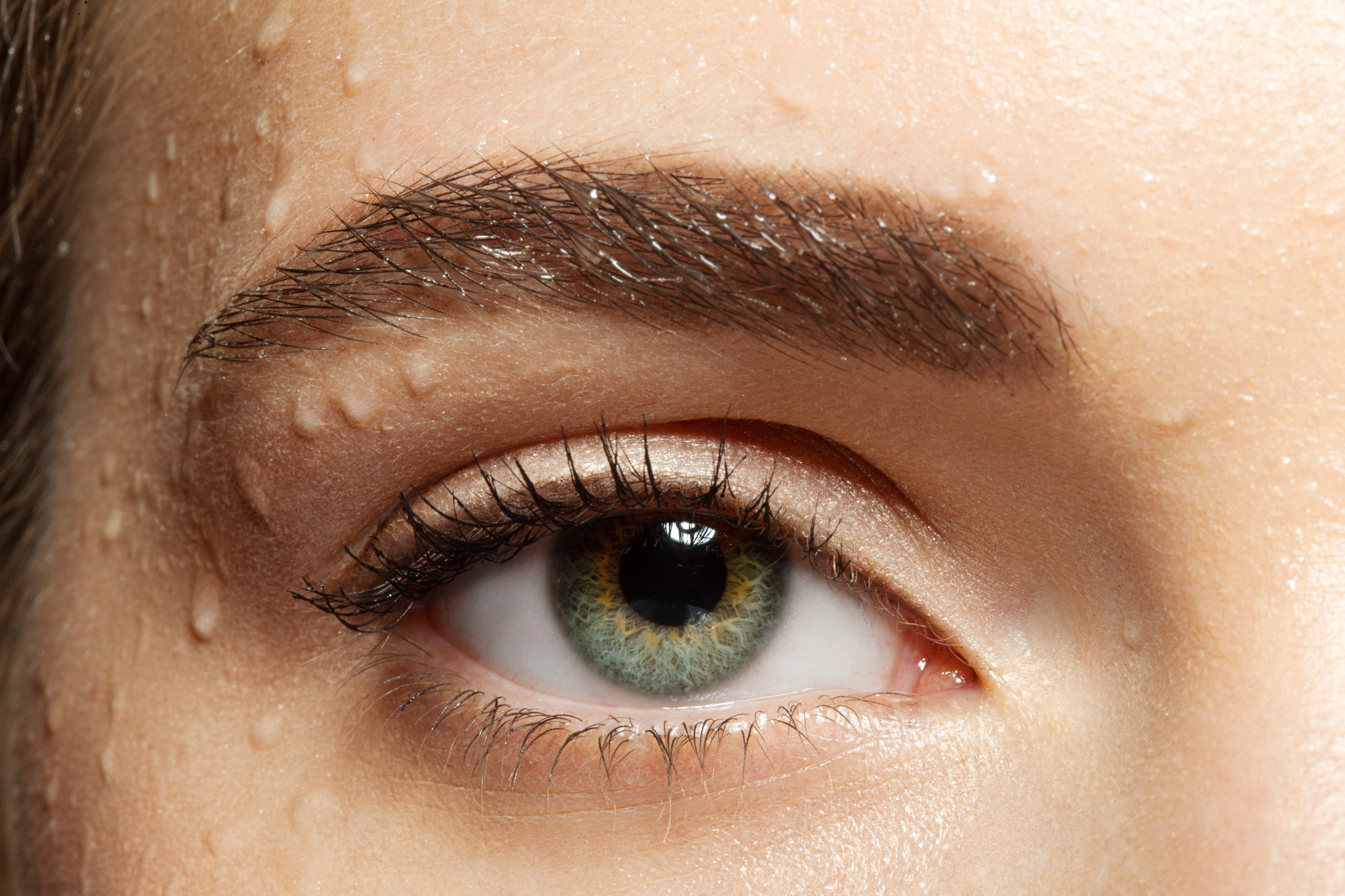 shutterstock_291839117.jpg