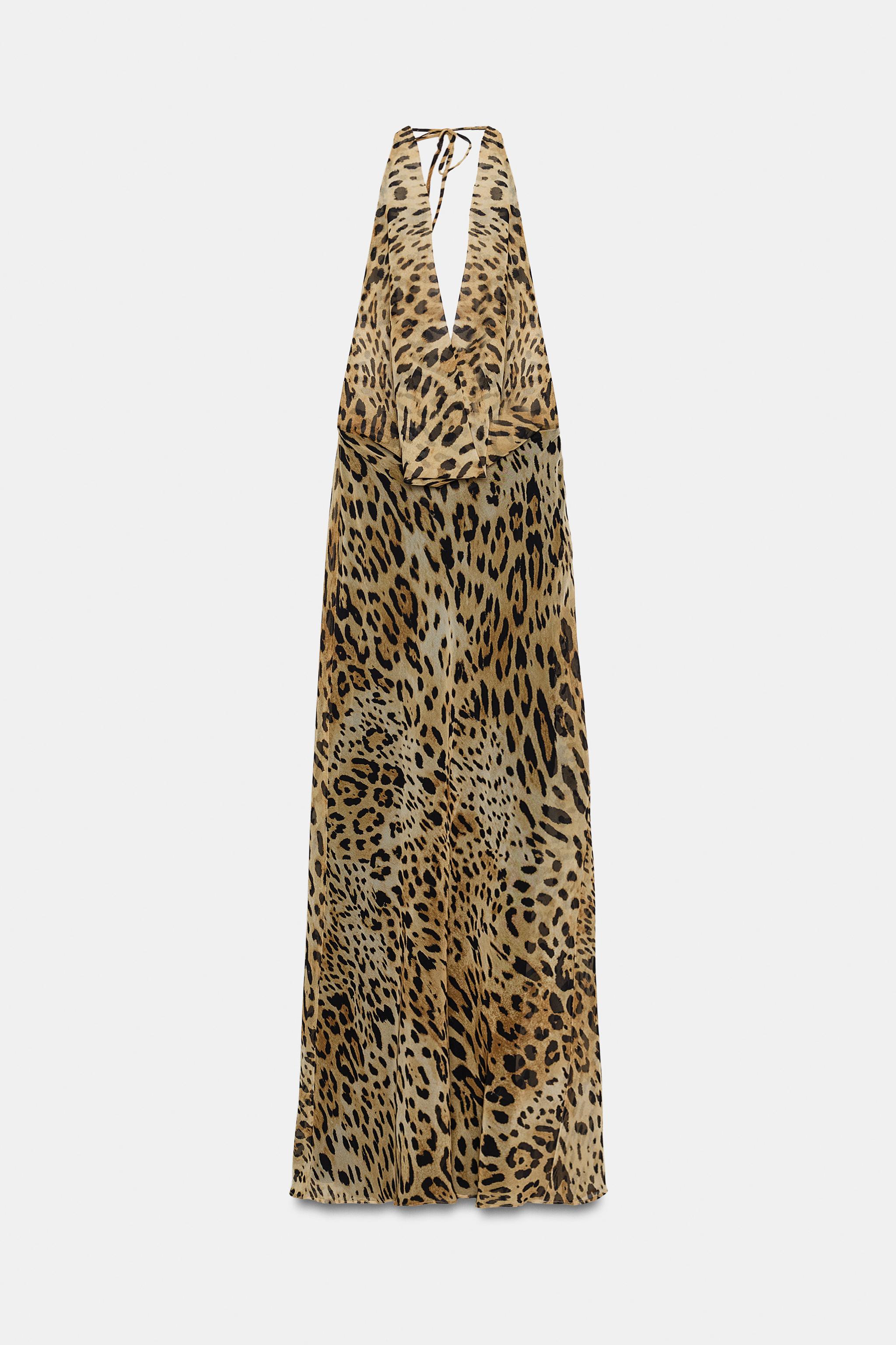 zara02.jpg