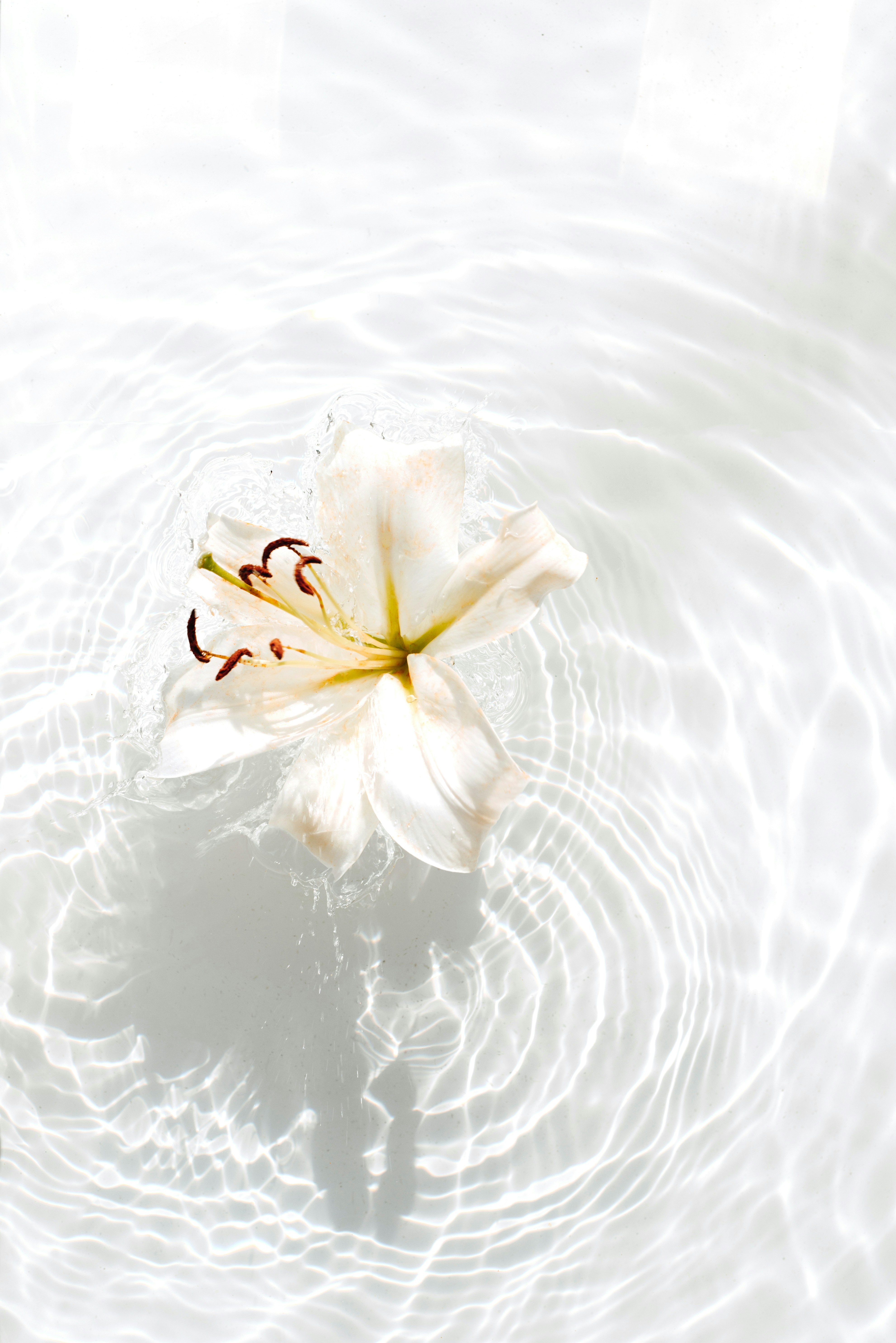 evie-s-cmbbwn-2Ilw-unsplash