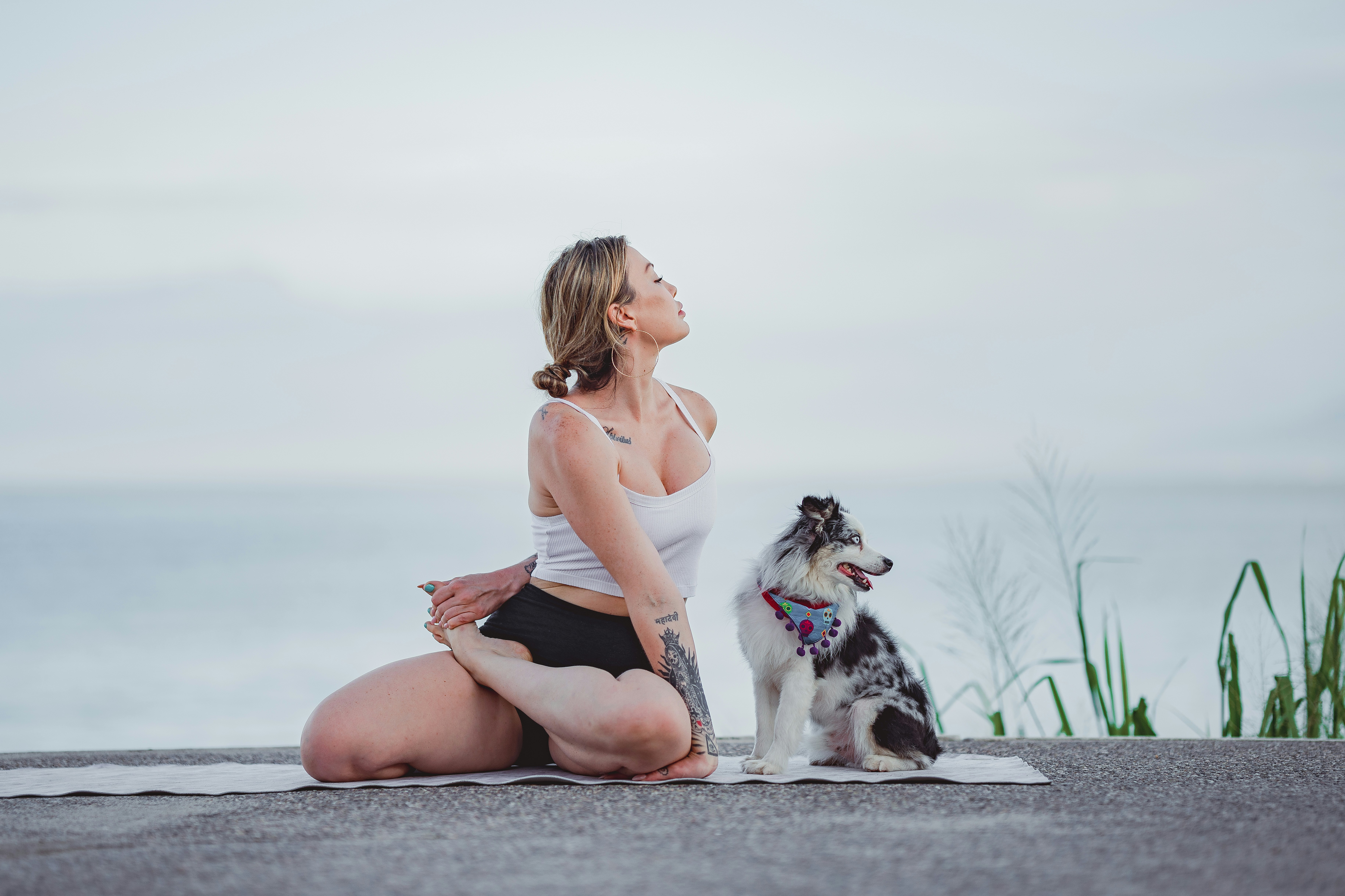 alonso-reyes-cxF27-rBoRc-unsplash