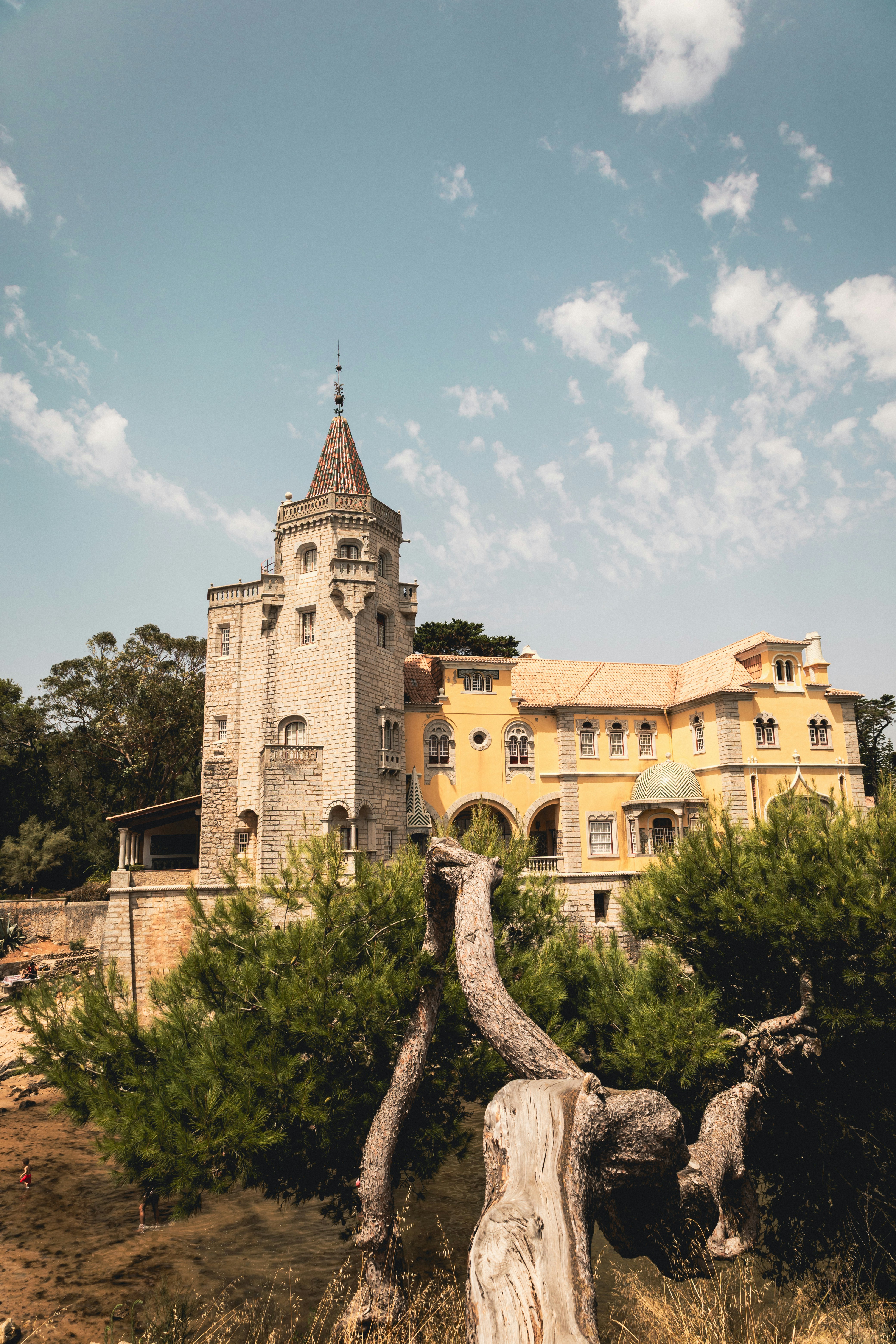 pietra-cruz-X20M2vKXiyk-unsplash.jpg